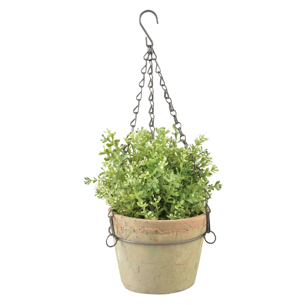 Hangende terracotta pot met groen plantje en metalen ketting, verouderde look