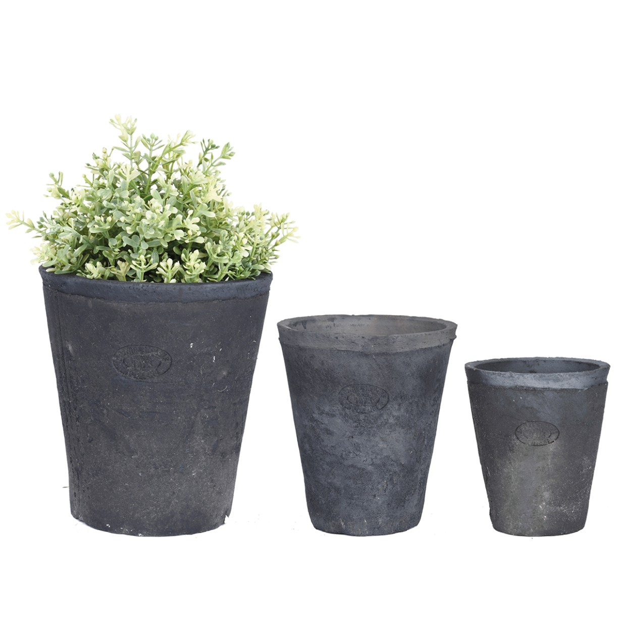 Set grijze bloempotten met groene plantjes, 3 stuks