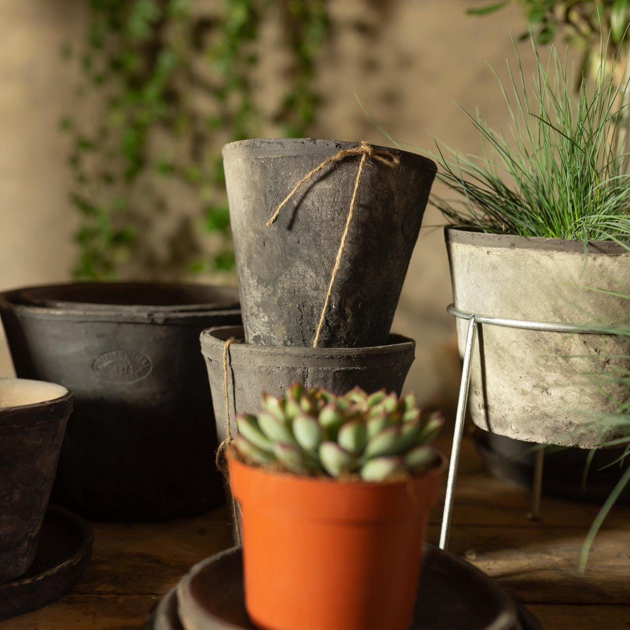 Donkergrijze en witte bloempotten met gras en een oranje pot op tafel