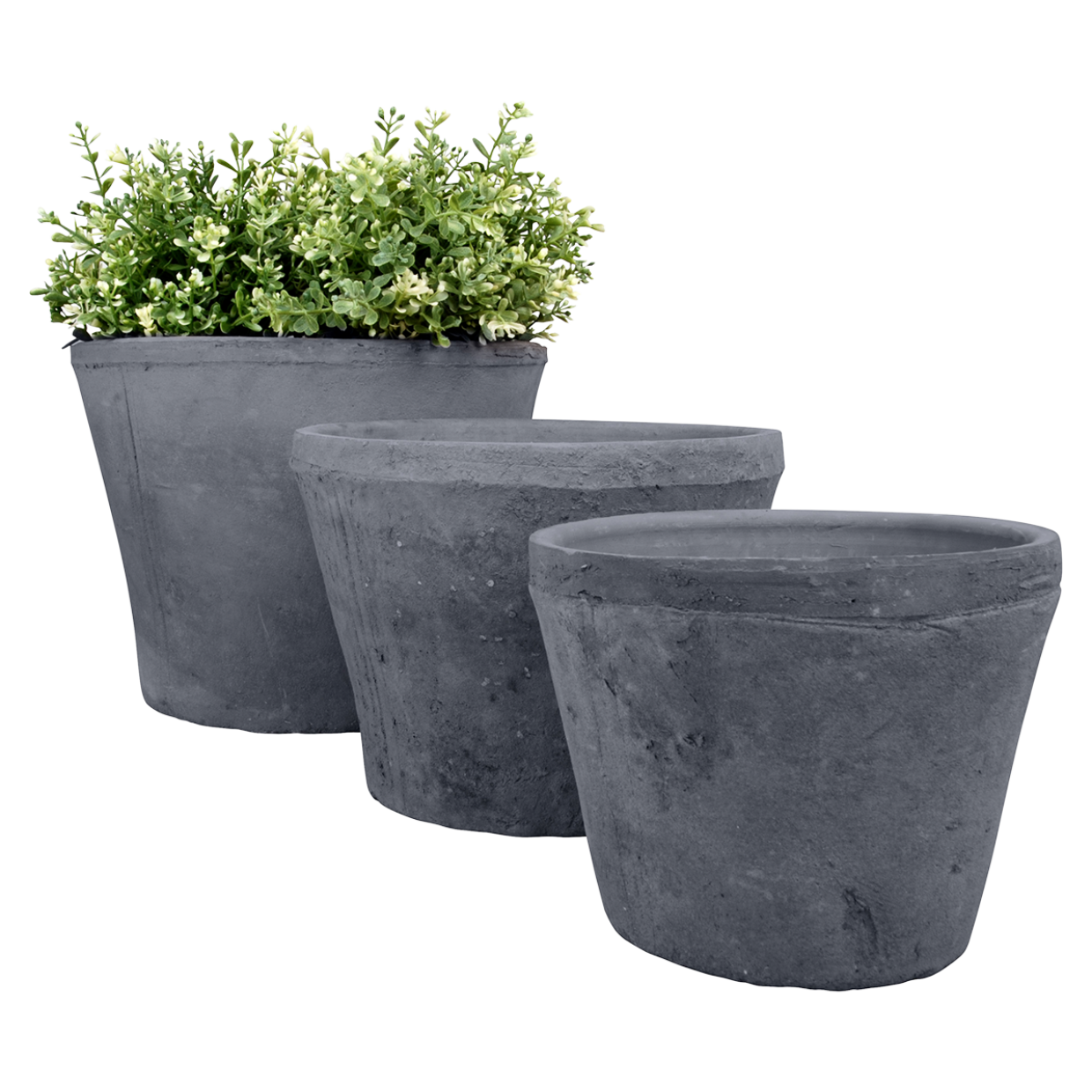 Set van 3 ronde grijze bloempotten met groen plantje