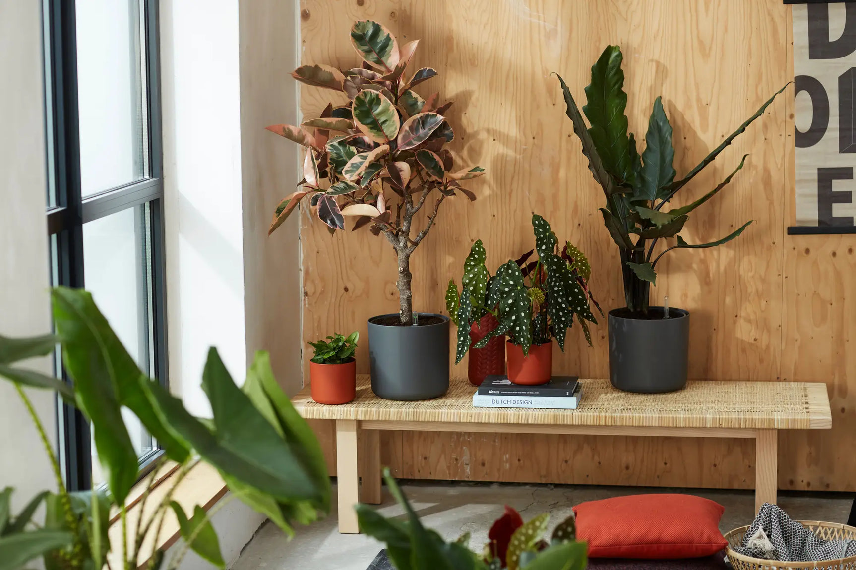 Elho - b.for soft round 30cm anthracite