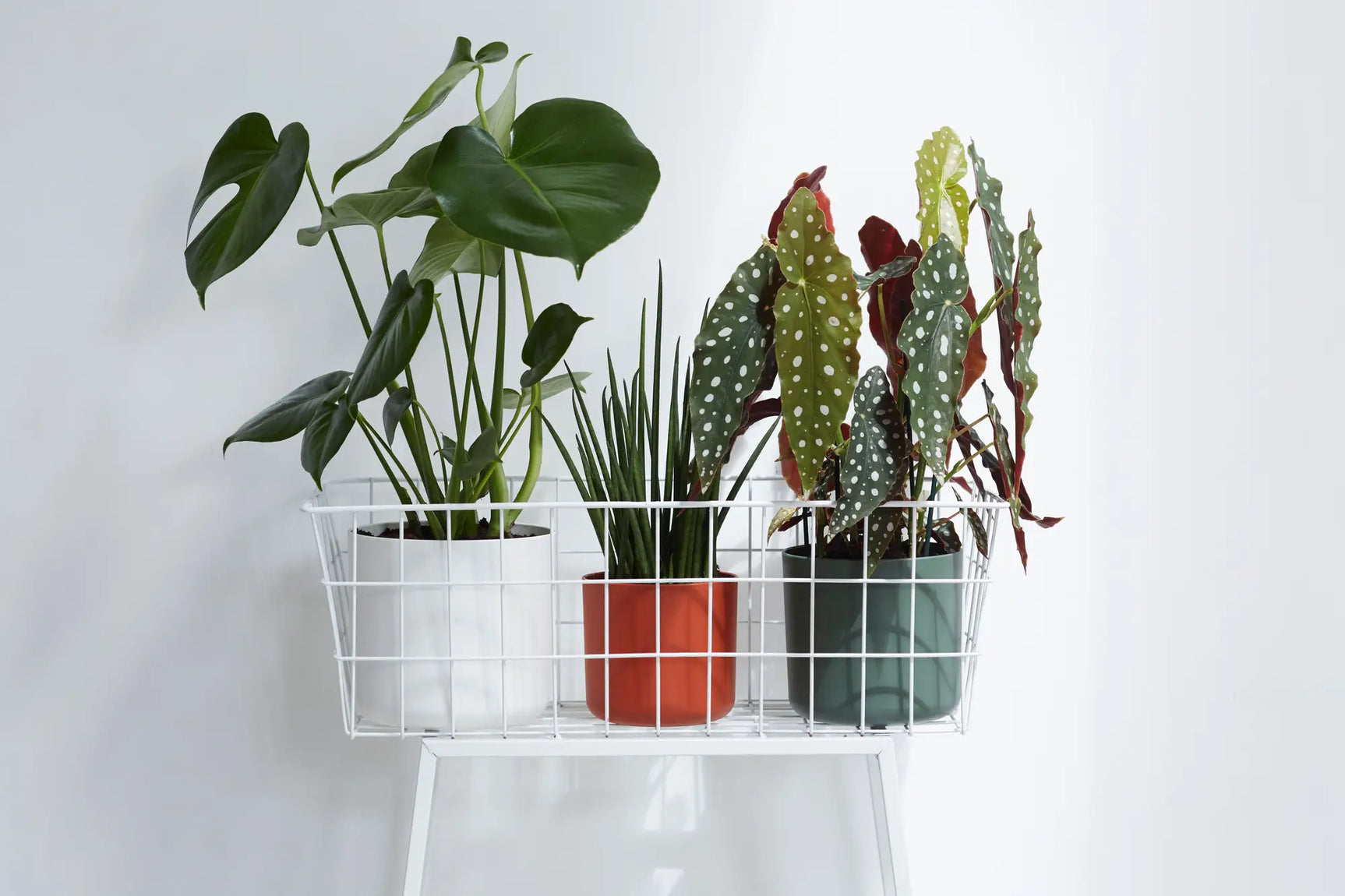 Elho - b.for soft round 18cm white