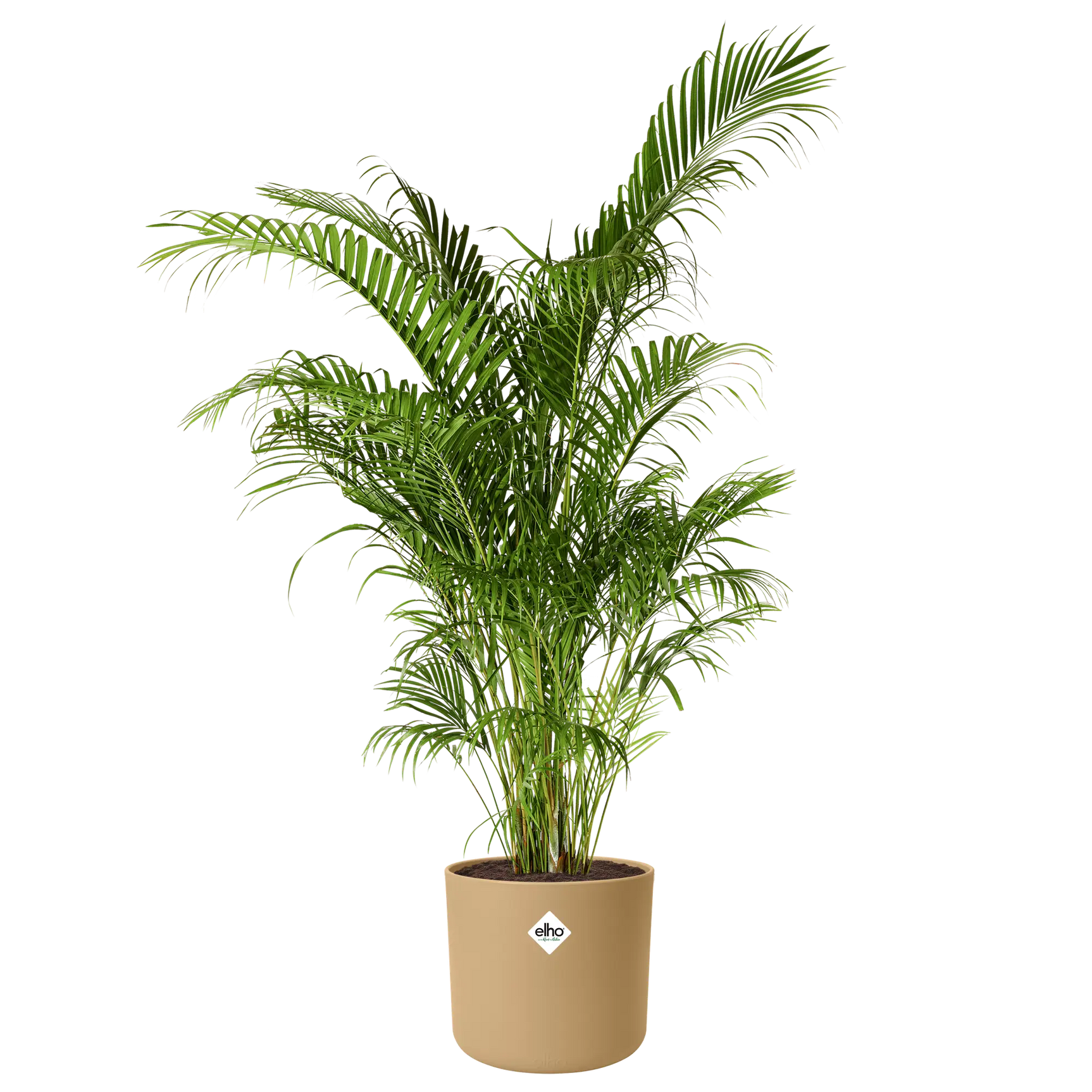 Elho - b.for soft rond 16cm goudkleurig zand