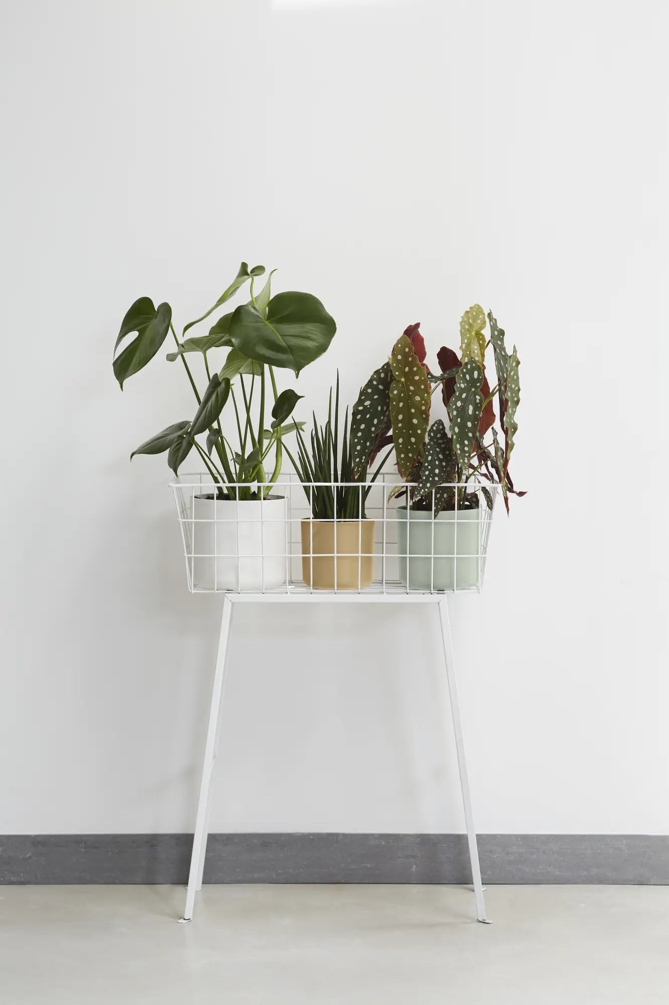 Plantenstandaard met meerdere plantbakken