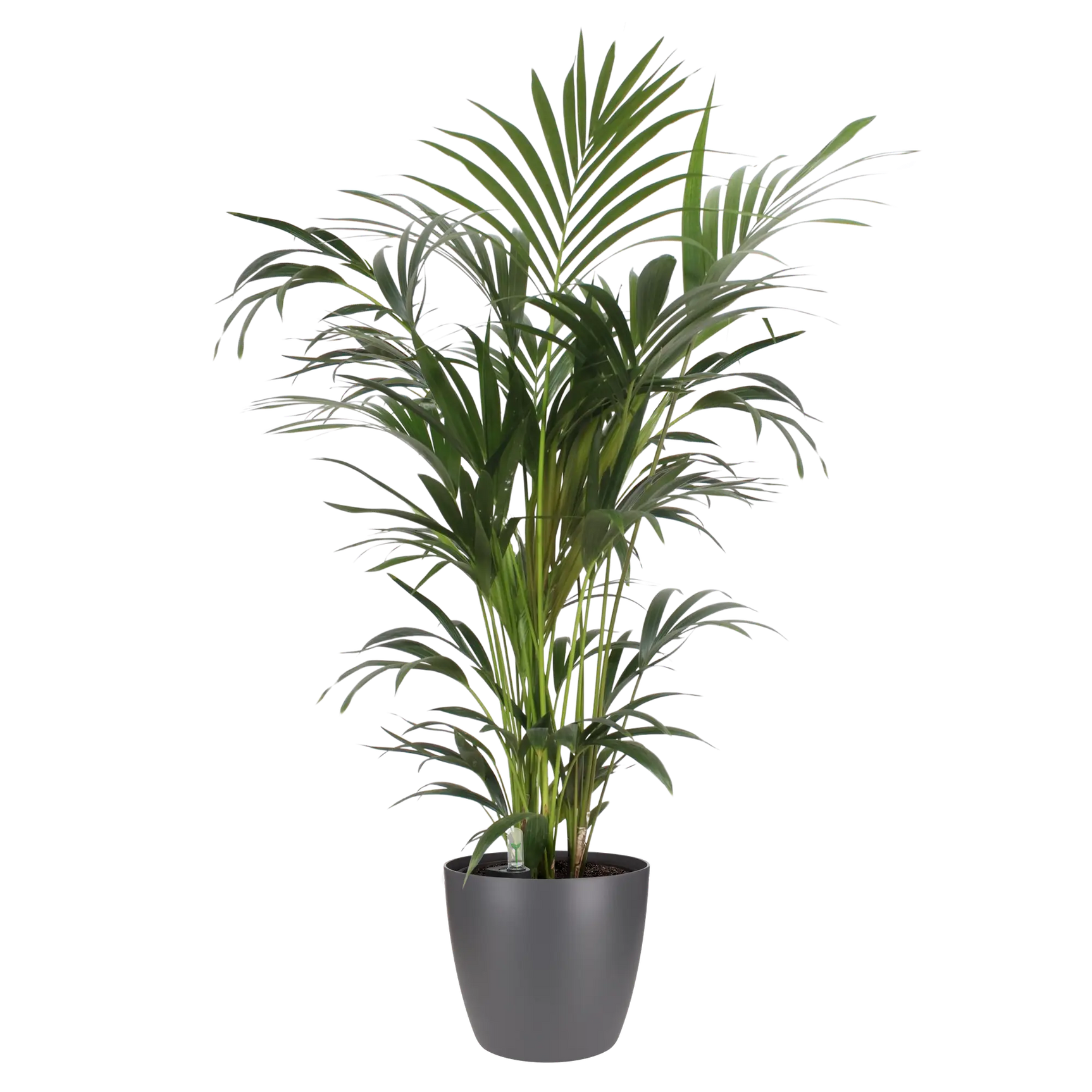 Elho - brussels round 20cm anthracite