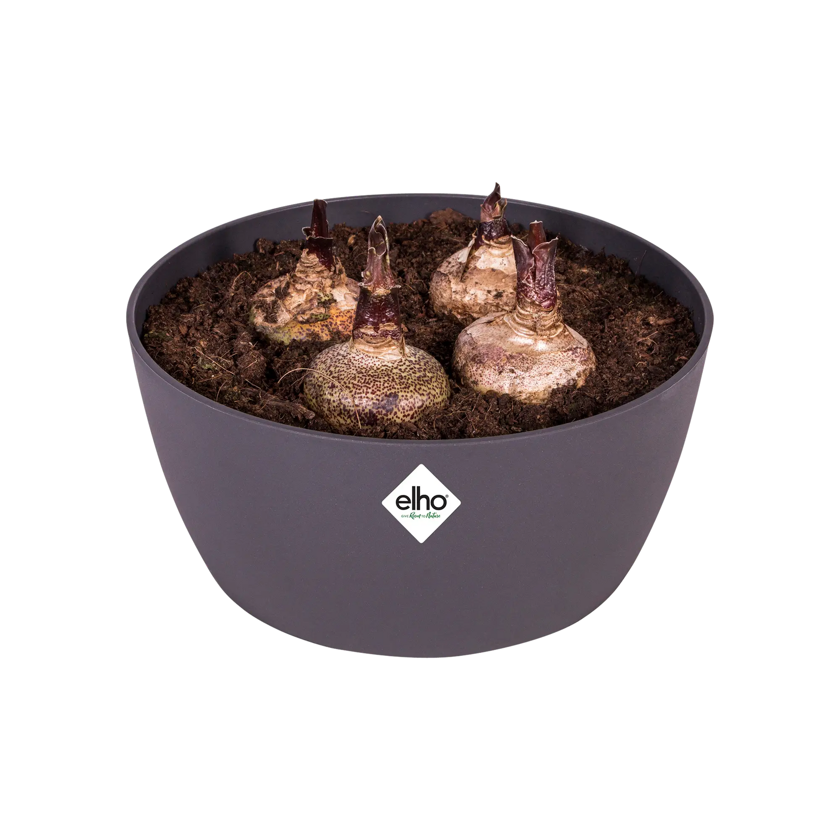 Elho - brussels bowl 23cm anthracite