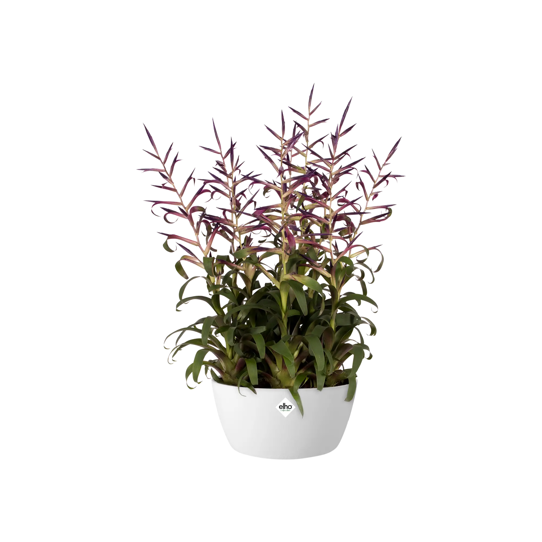 Elho - brussels bowl 23cm white