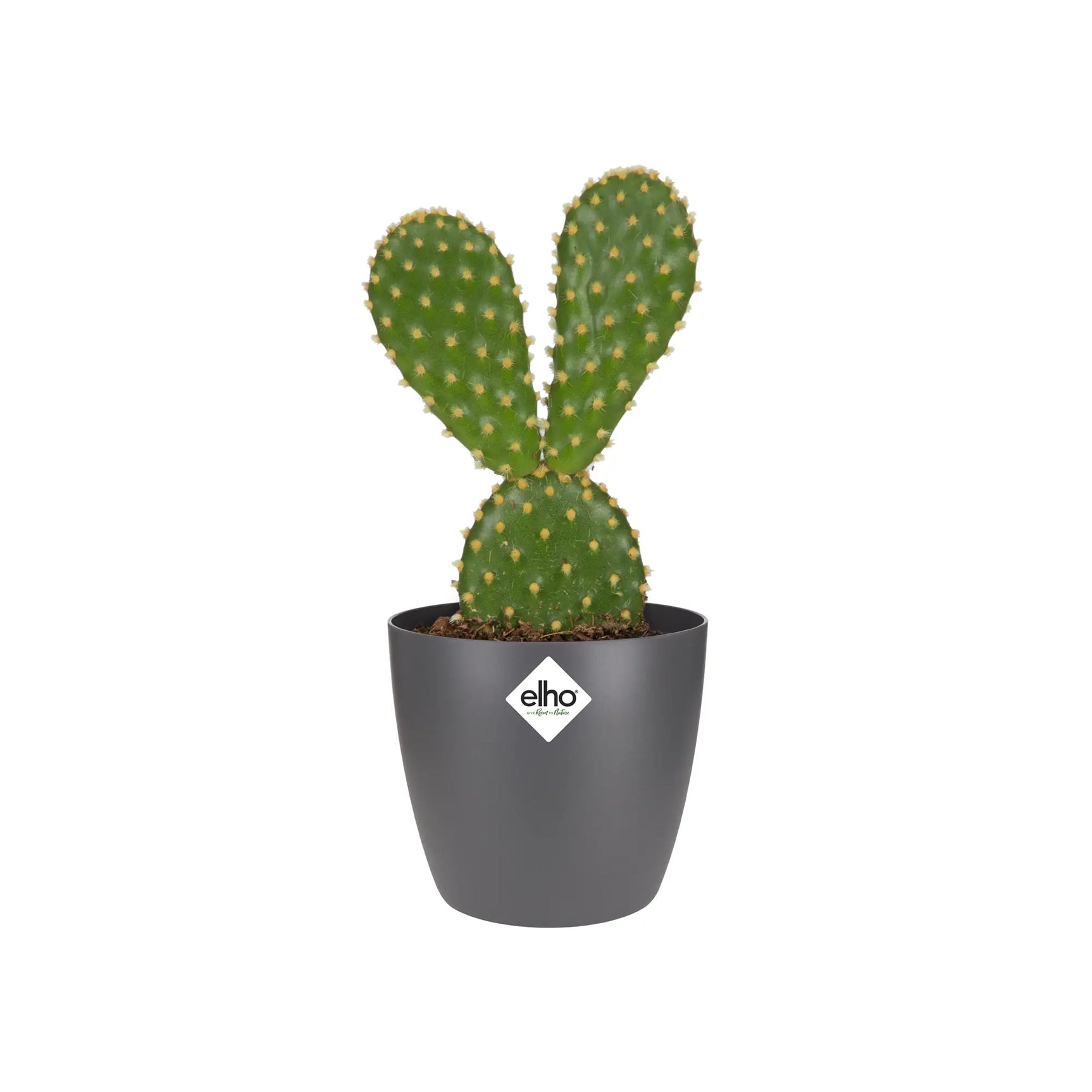 Elho - brussels round mini 7cm anthracite