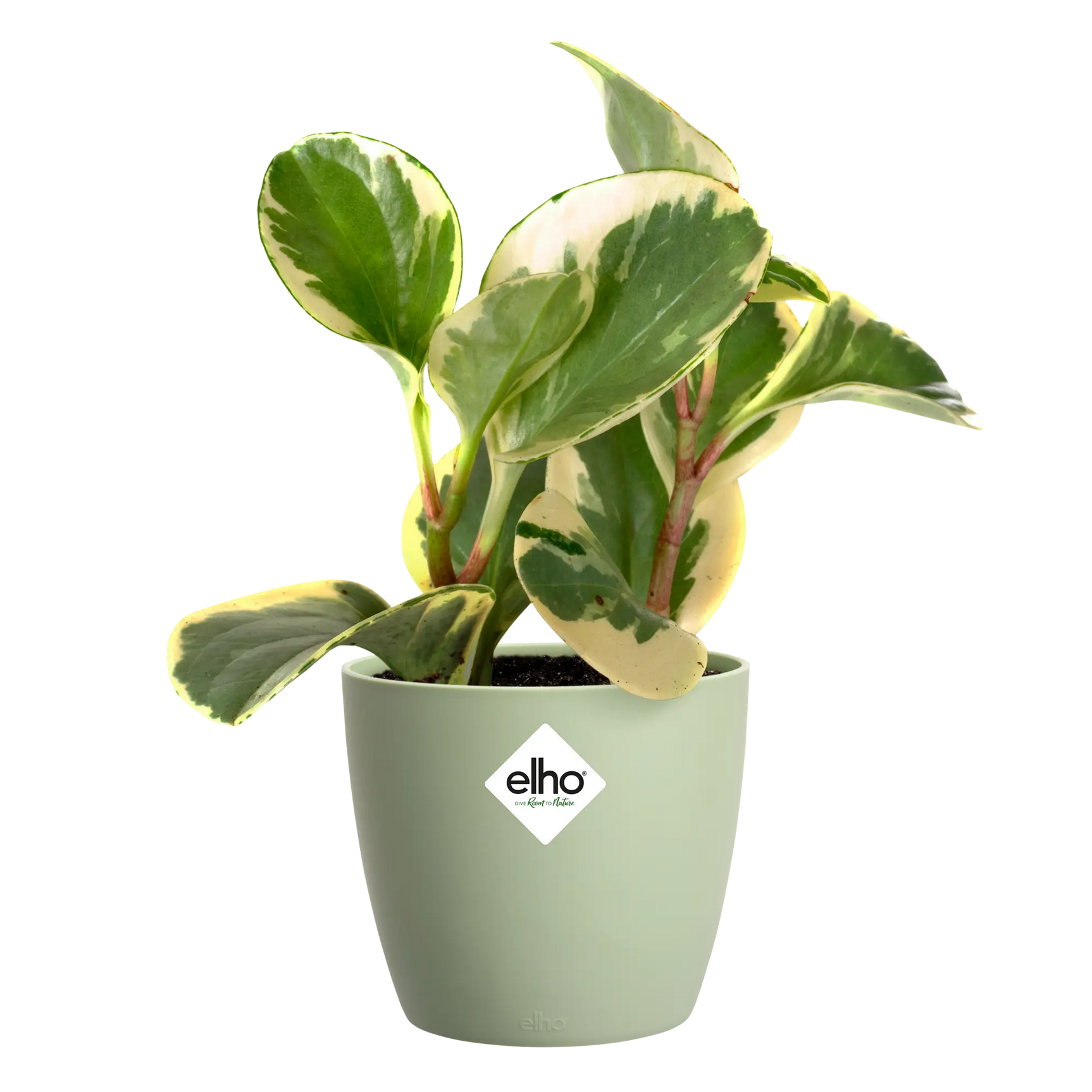 Elho - brussels rond mini 9,5cm sorbet groen