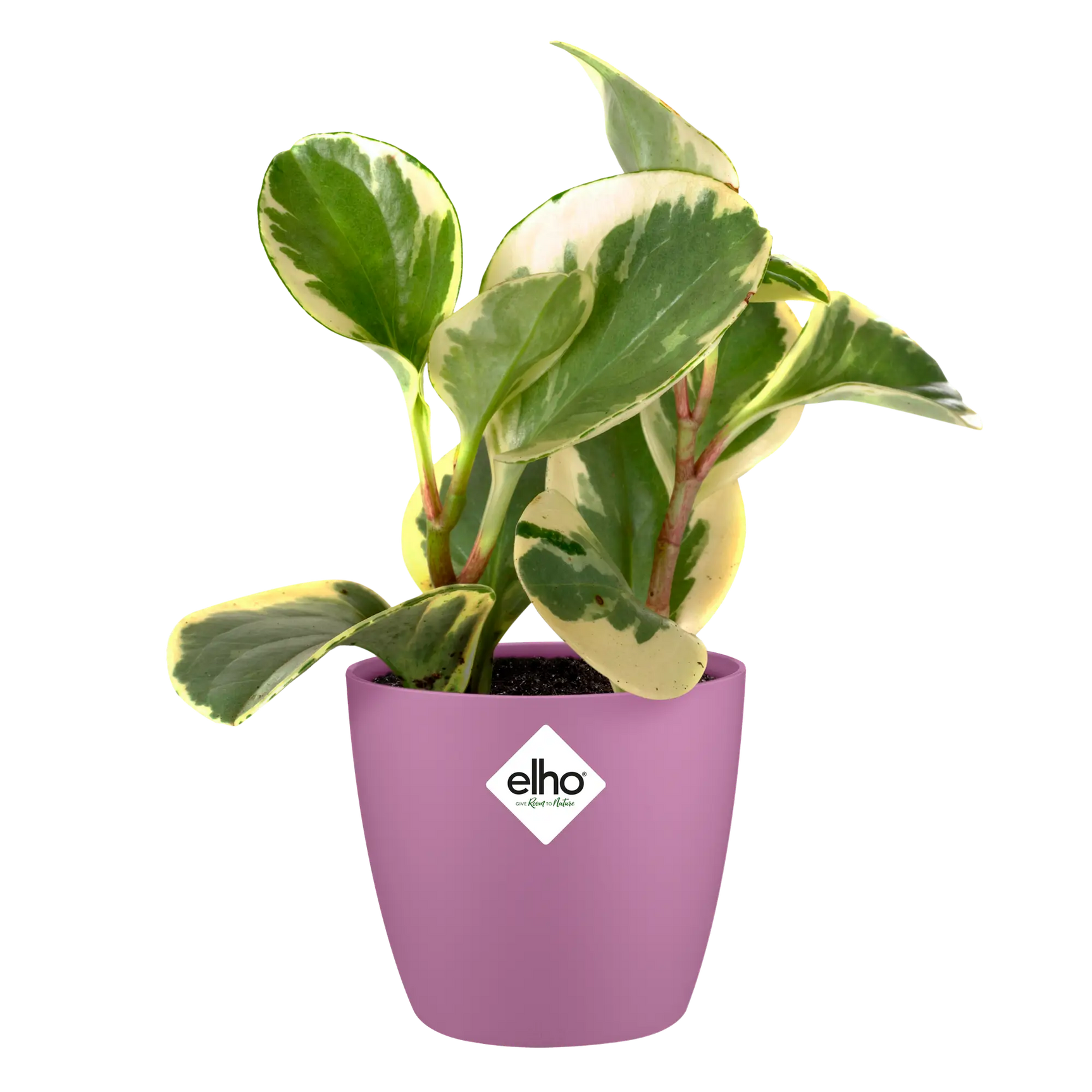 Elho - brussels rond mini 12,5cm vivid violet