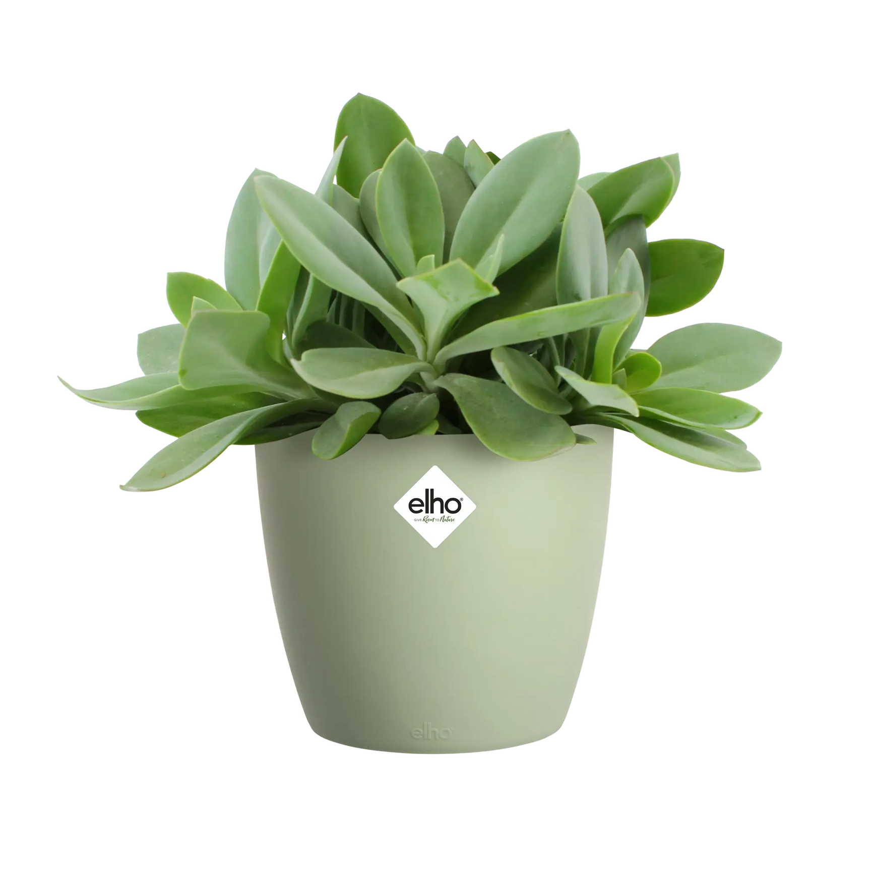 Elho - brussels rond 14cm sorbet groen