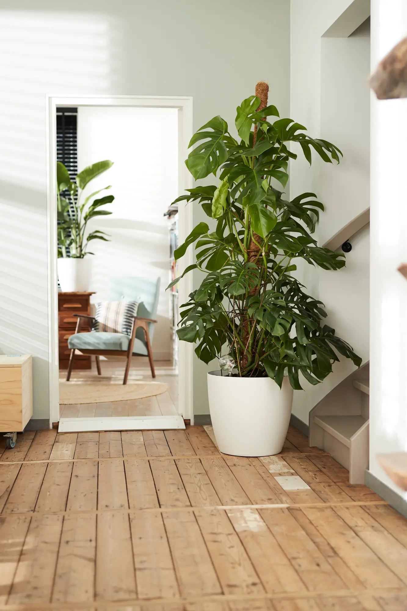 Elho - brussels round wheels 35cm white