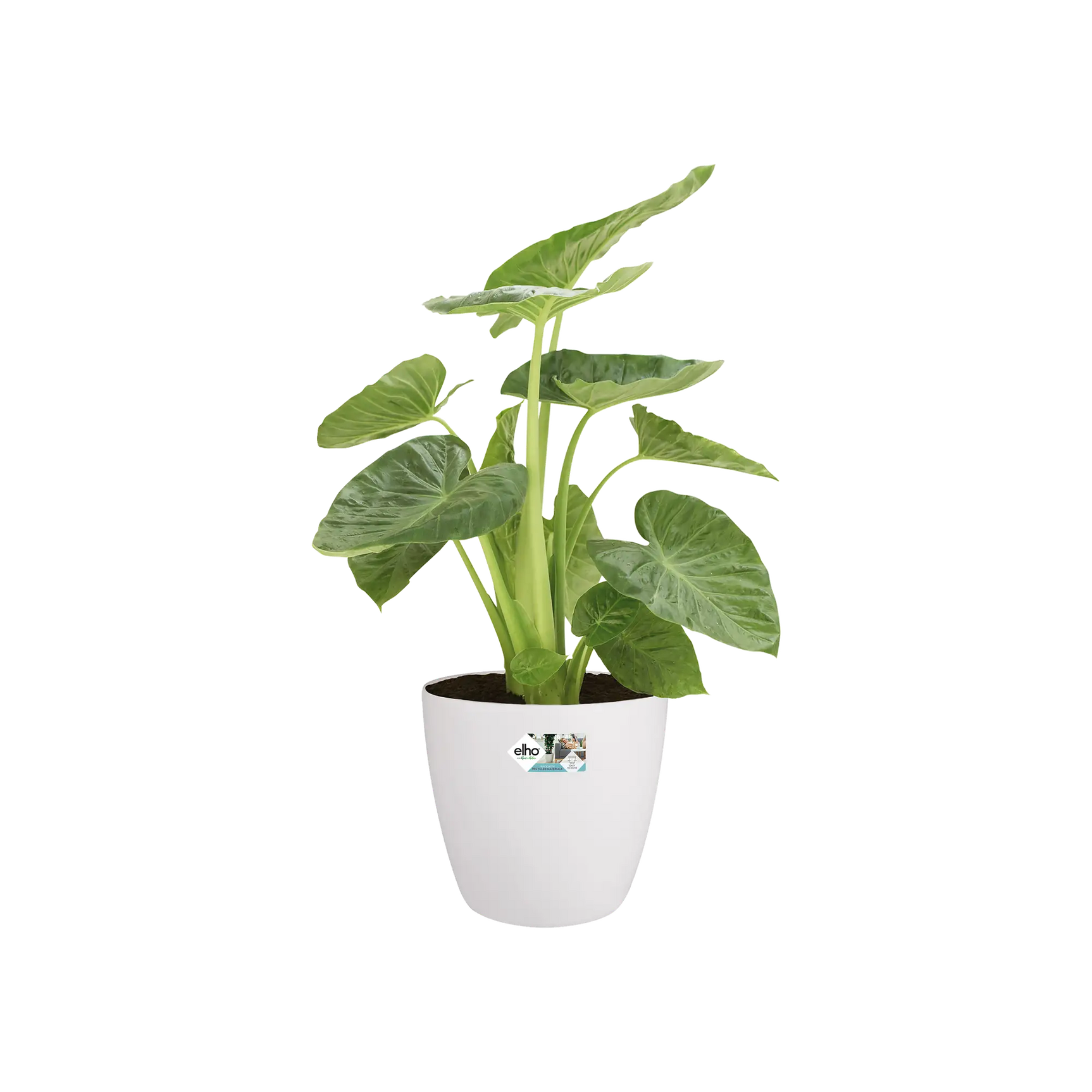 Elho - brussels round wheels 35cm white