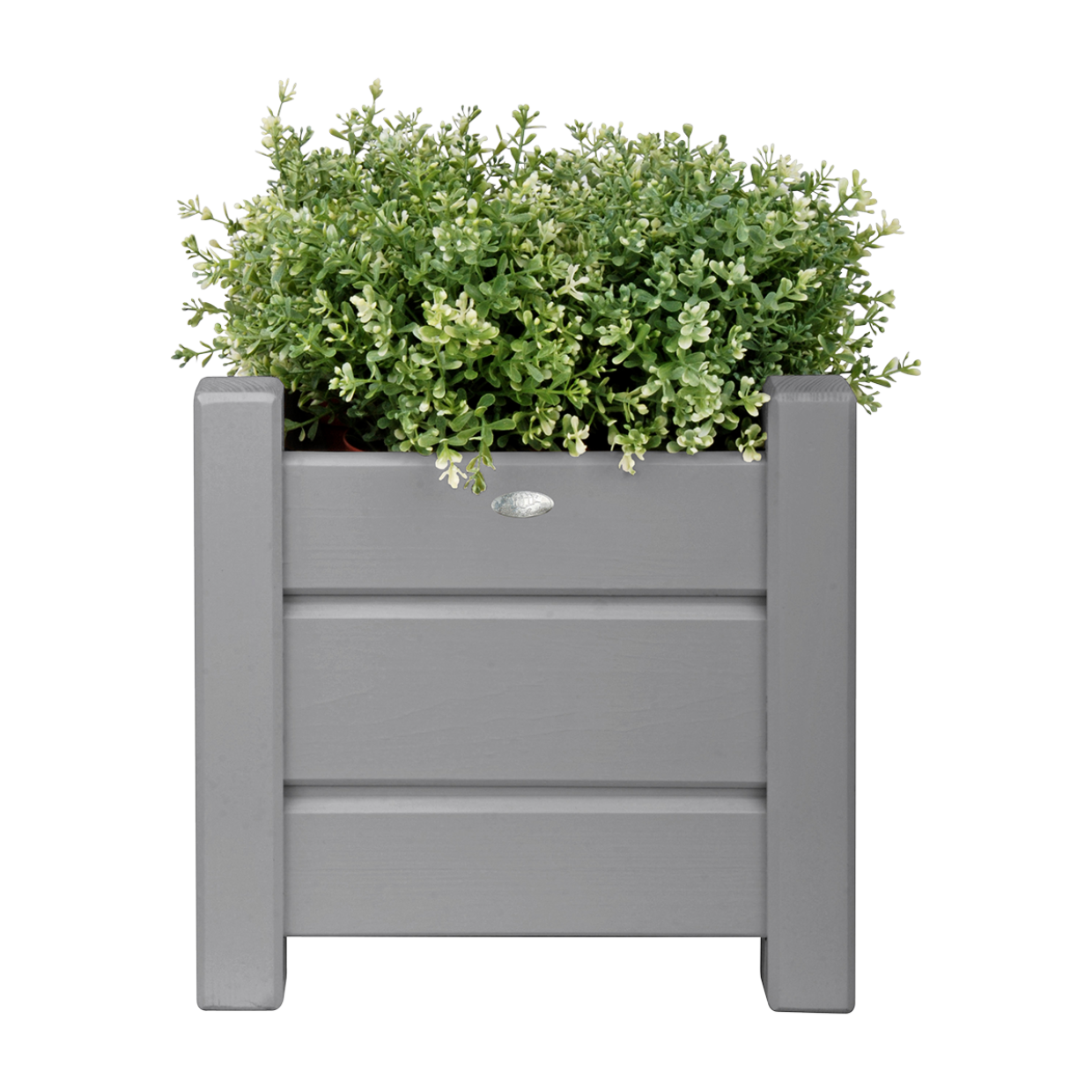 Vierkante grijze plantenbak met lamelzijden en bronzen muntje, met dichte groene struik.