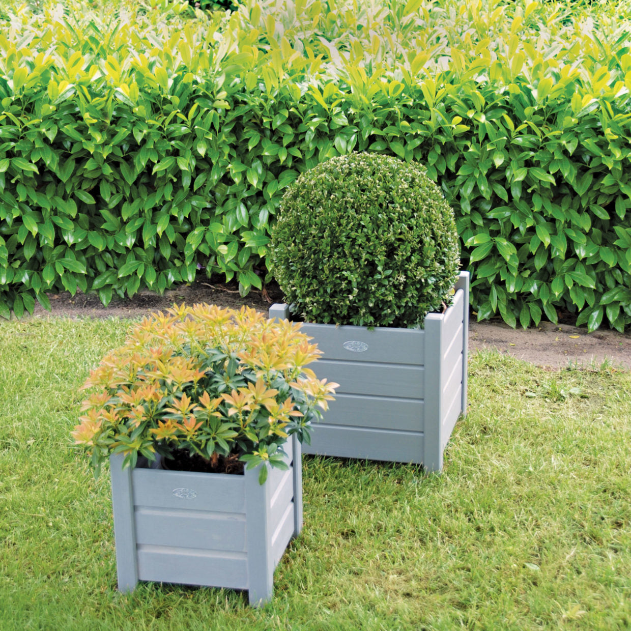 Twee vierkante grijze plantenbakken met lamelzijden, met groene en geelgroene planten.