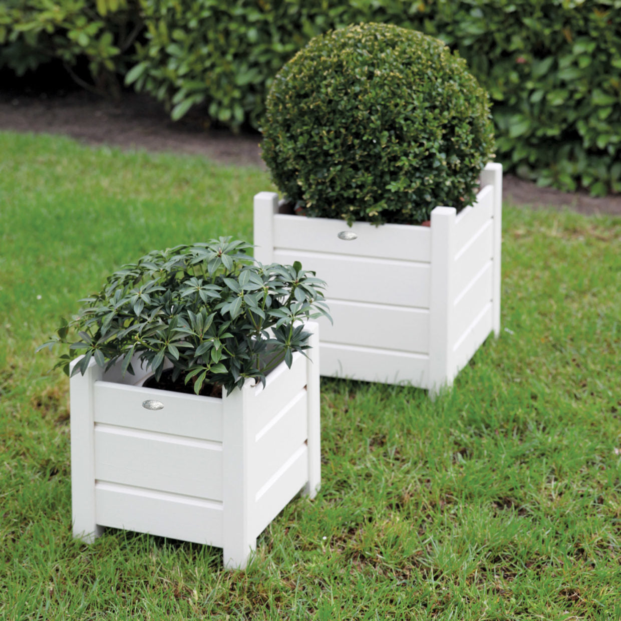 Vierkante witte plantenbak set S/L met twee bakken en groene planten