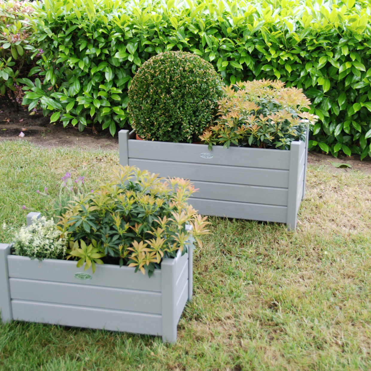 Set van 2 grijze rechthoekige plantenbakken met planten, in tuin op gras
