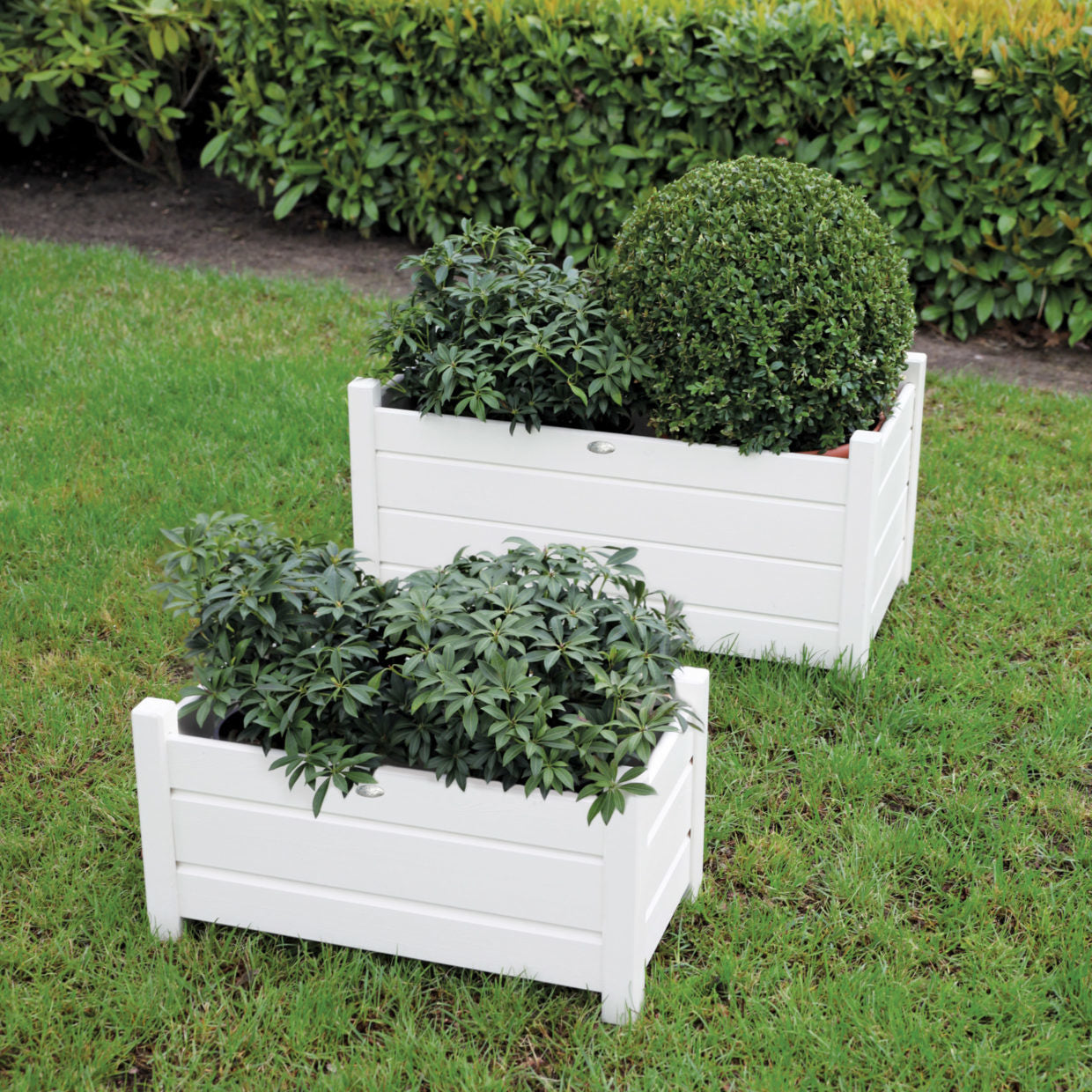 Twee rechthoekige witte plantenbakken met horizontale latten, gevuld met planten