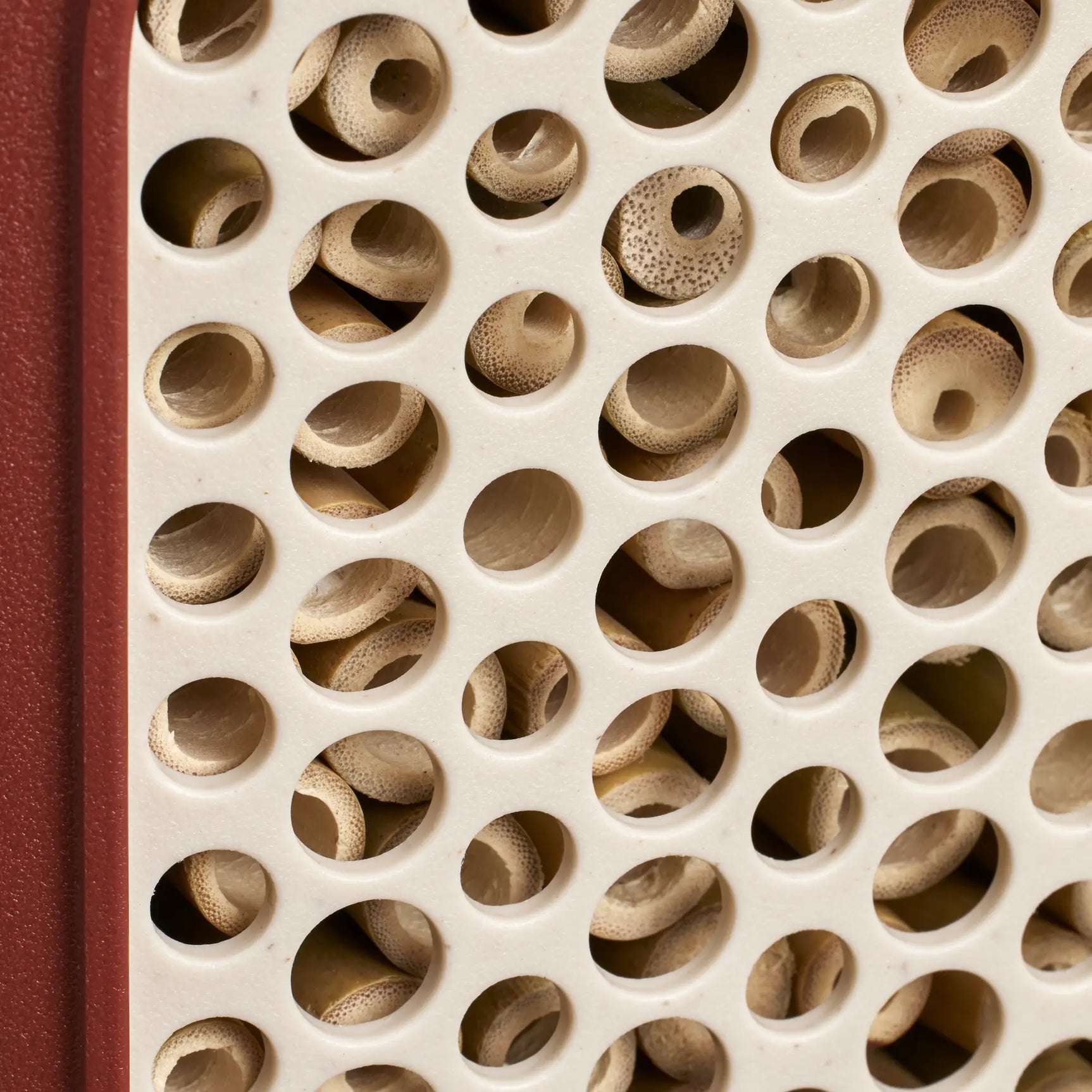 Close-up van de holletjes in het insectenhotel, in houten buisjes