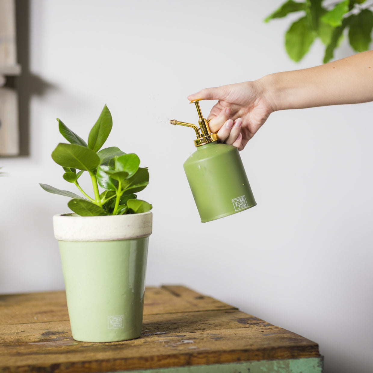 Groene plantensproeier met messing spuitkop en handgreep