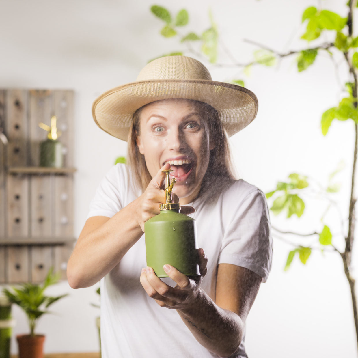 Groentinten plantensproeier met groene fles en messing sproeikop