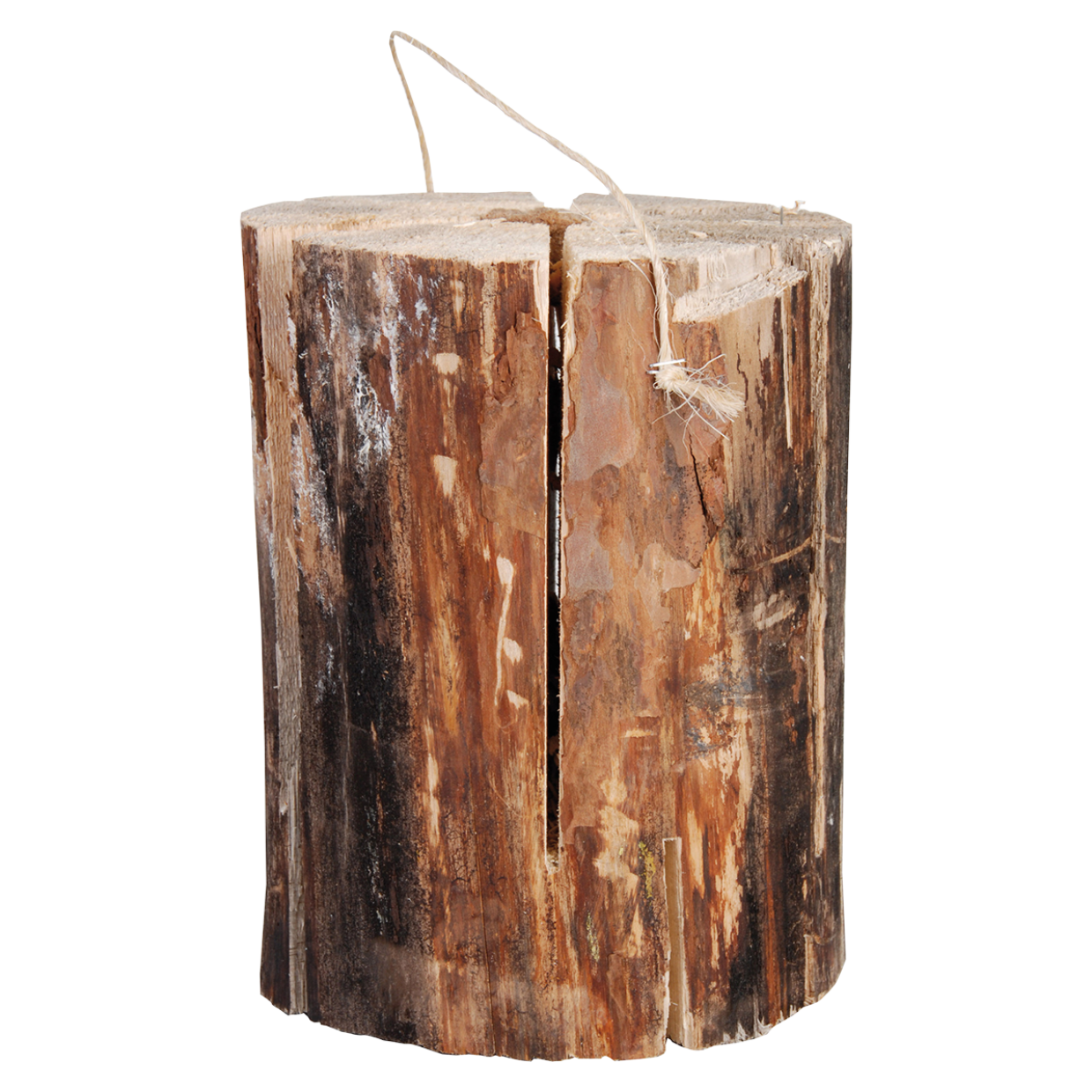 Zweedse fakkel: houten cilinderstam met twee lonten bovenop.