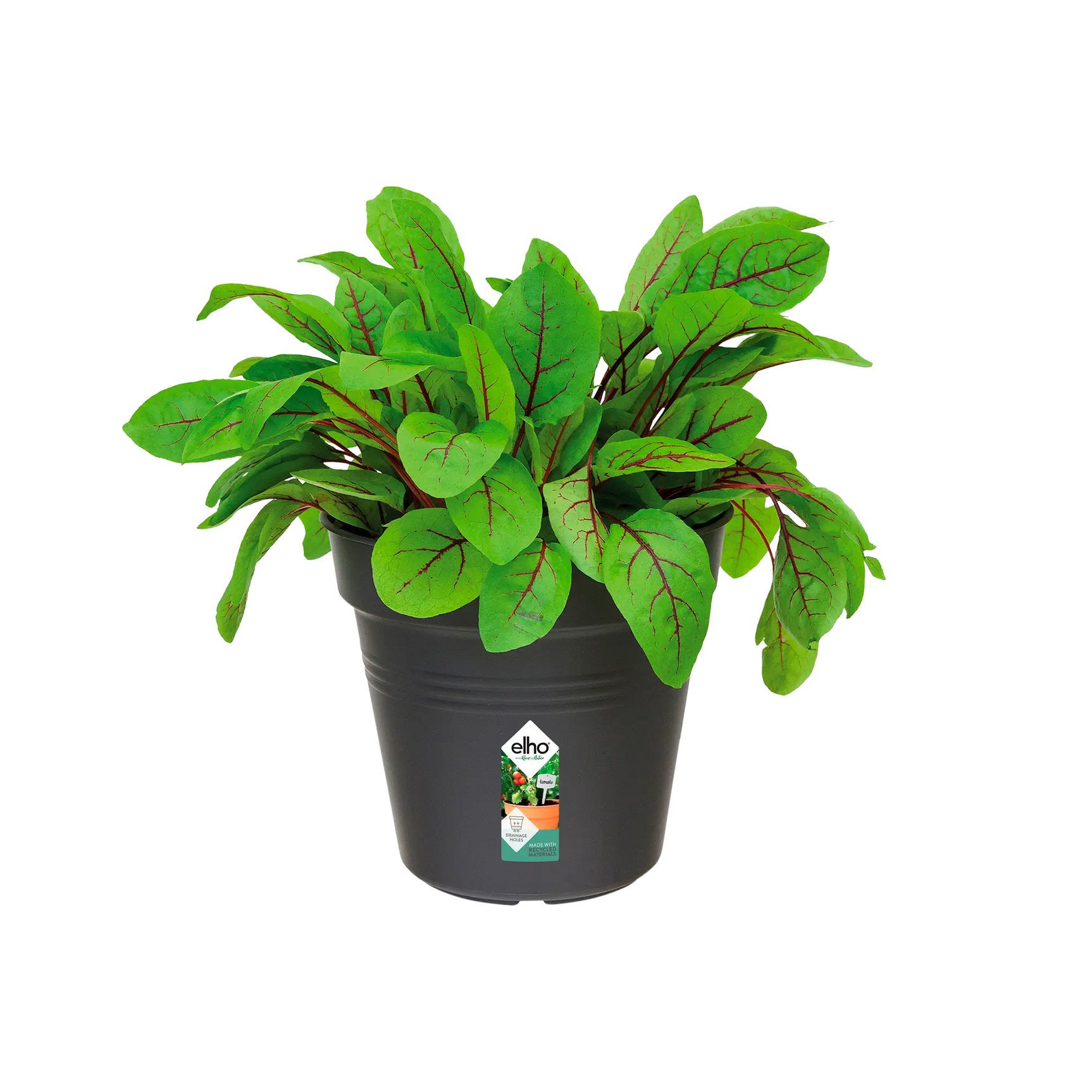Elho - gb growpot 13cm living black