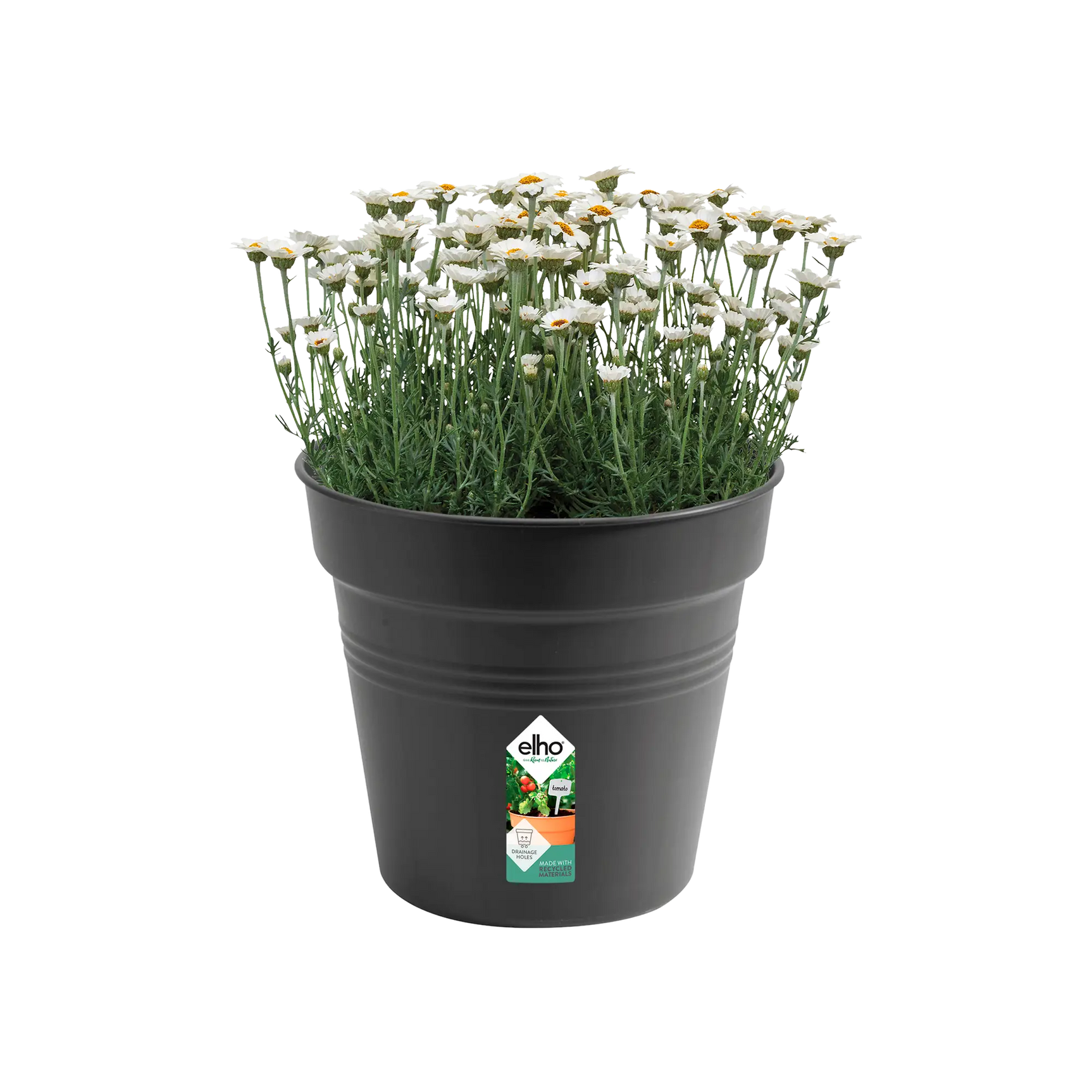 Elho - gb growpot 30cm living black