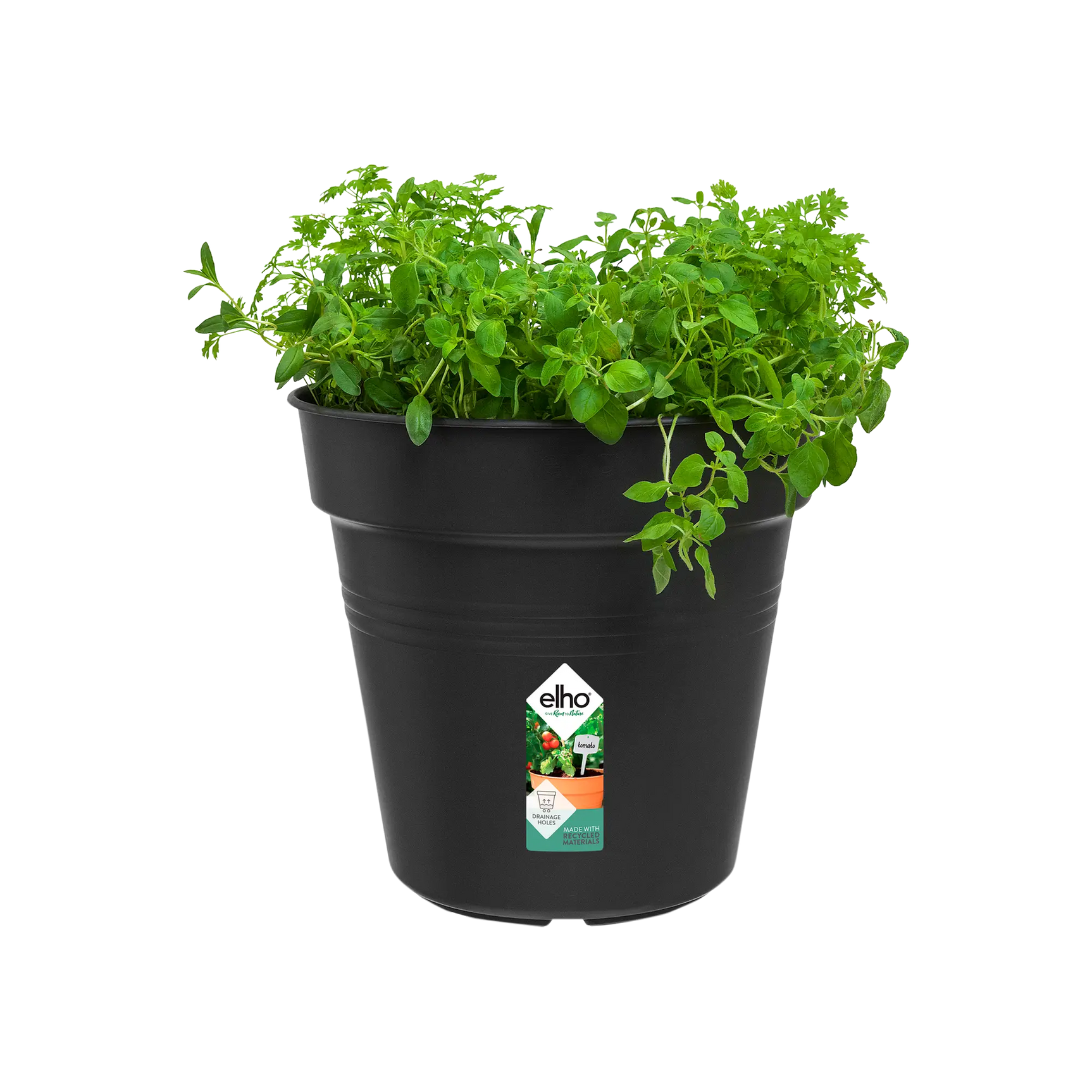 Elho - gb growpot 24cm living black