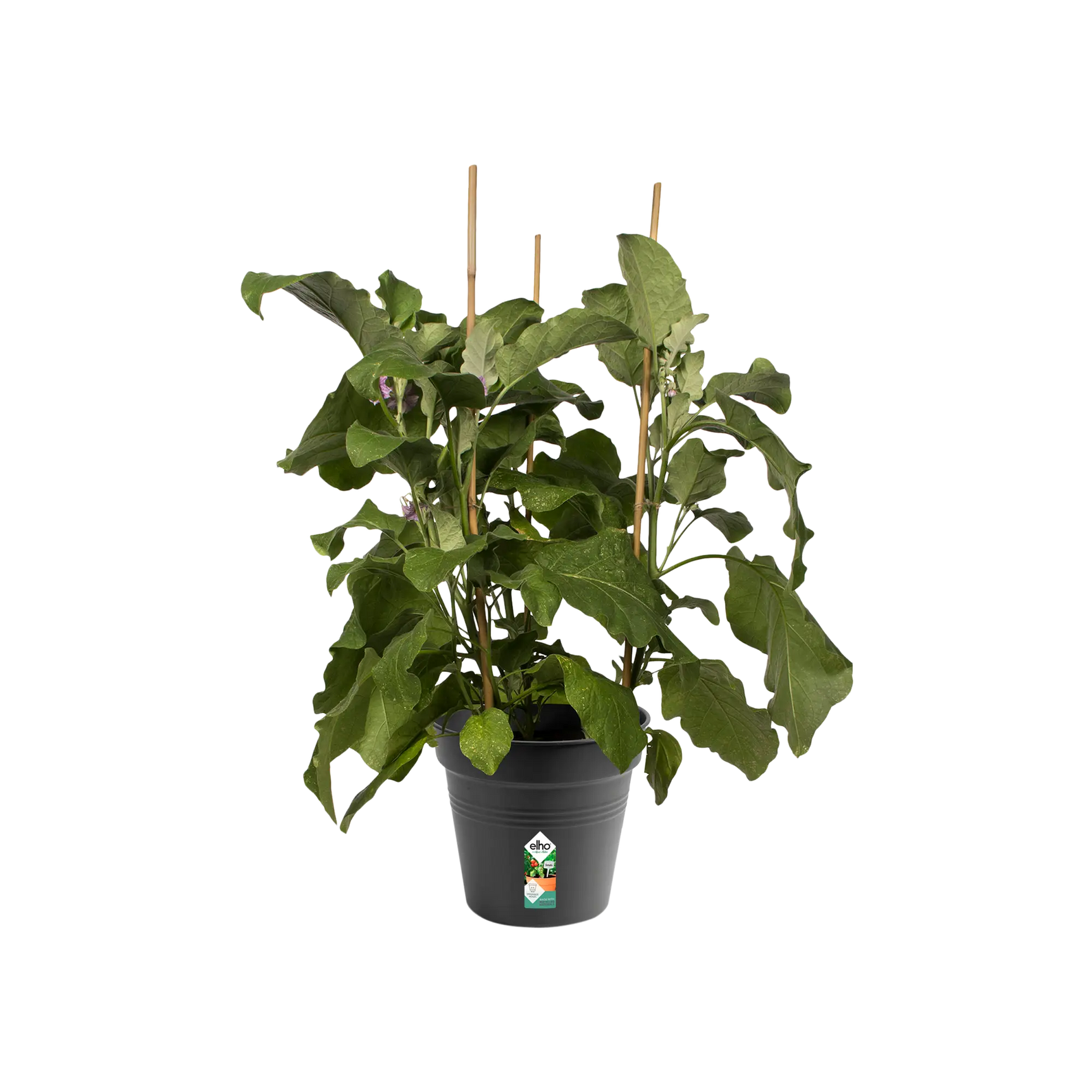 Elho - gb growpot 21cm living black