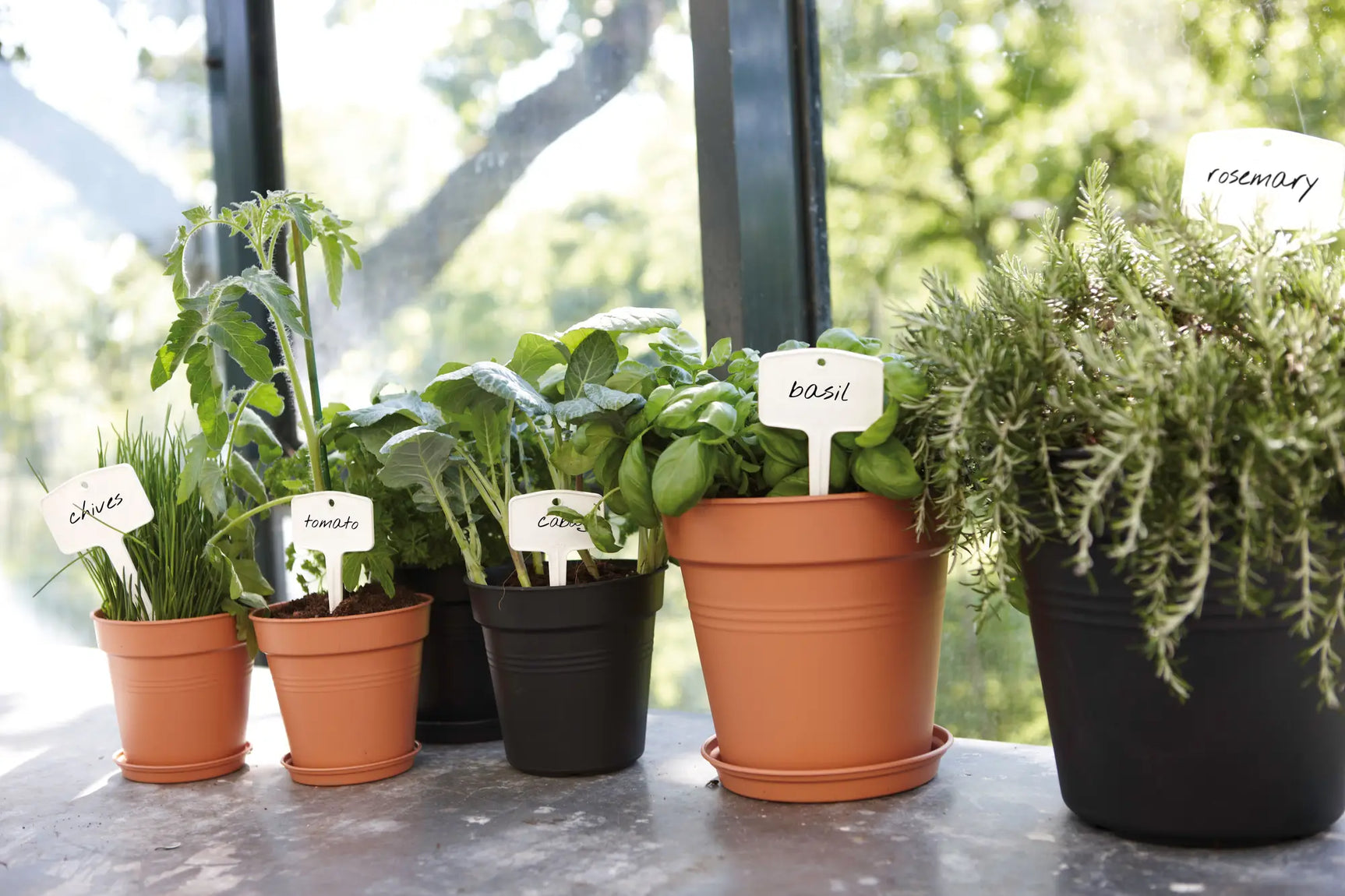 Zwarte ronde plantenschotel bij kruidpotjes op tafel