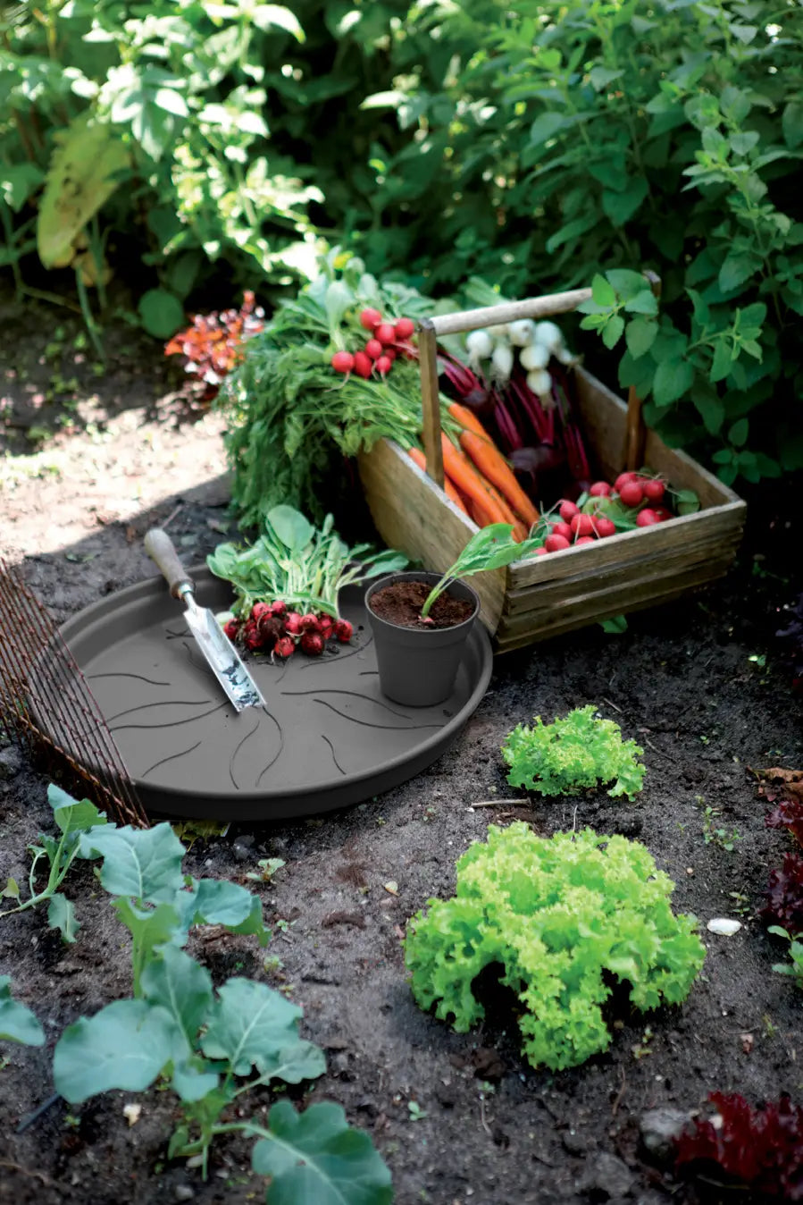 Elho - gb saucer 14cm living black