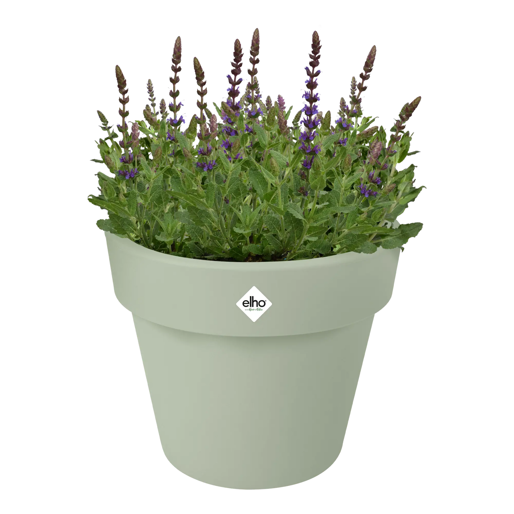 Elho plantenbak lichtgroen met bloemen en siergras bovenin.