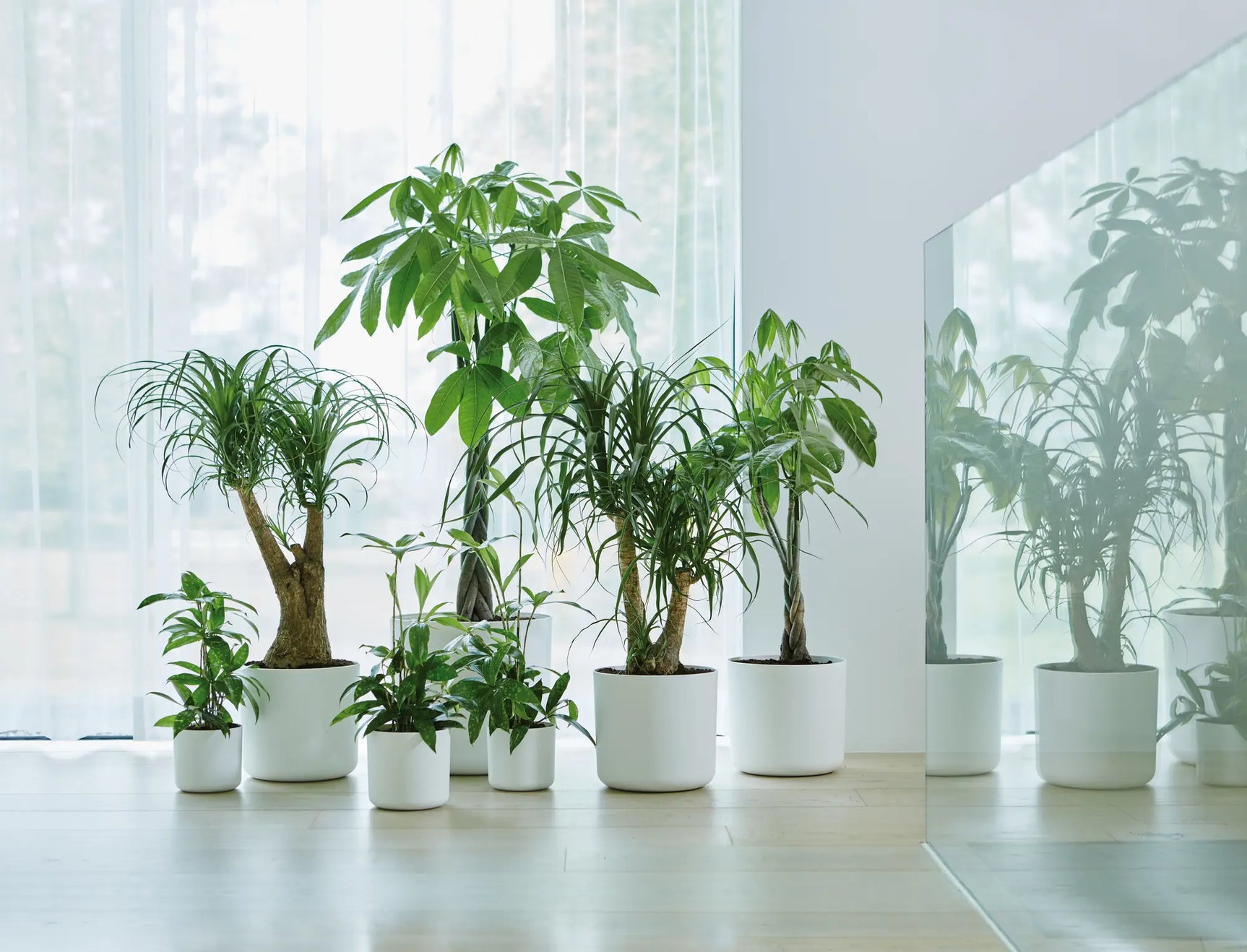 Elho - b.for soft round 14cm white