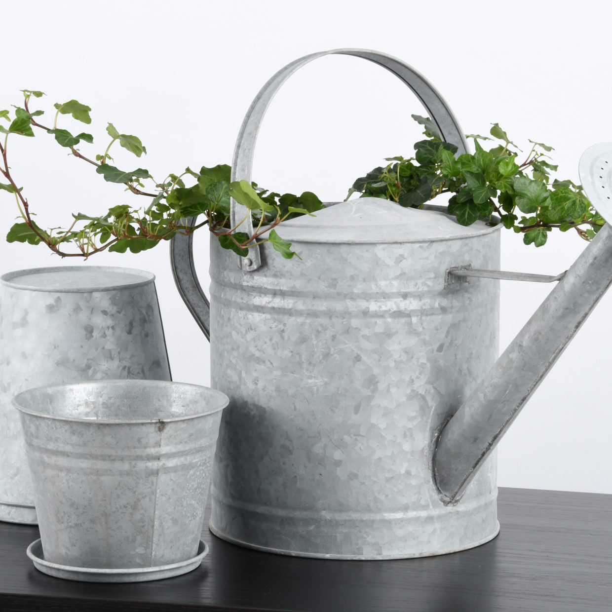 Esschert Design verouderde zinken bloempot 9 cm met plantjes, grijs