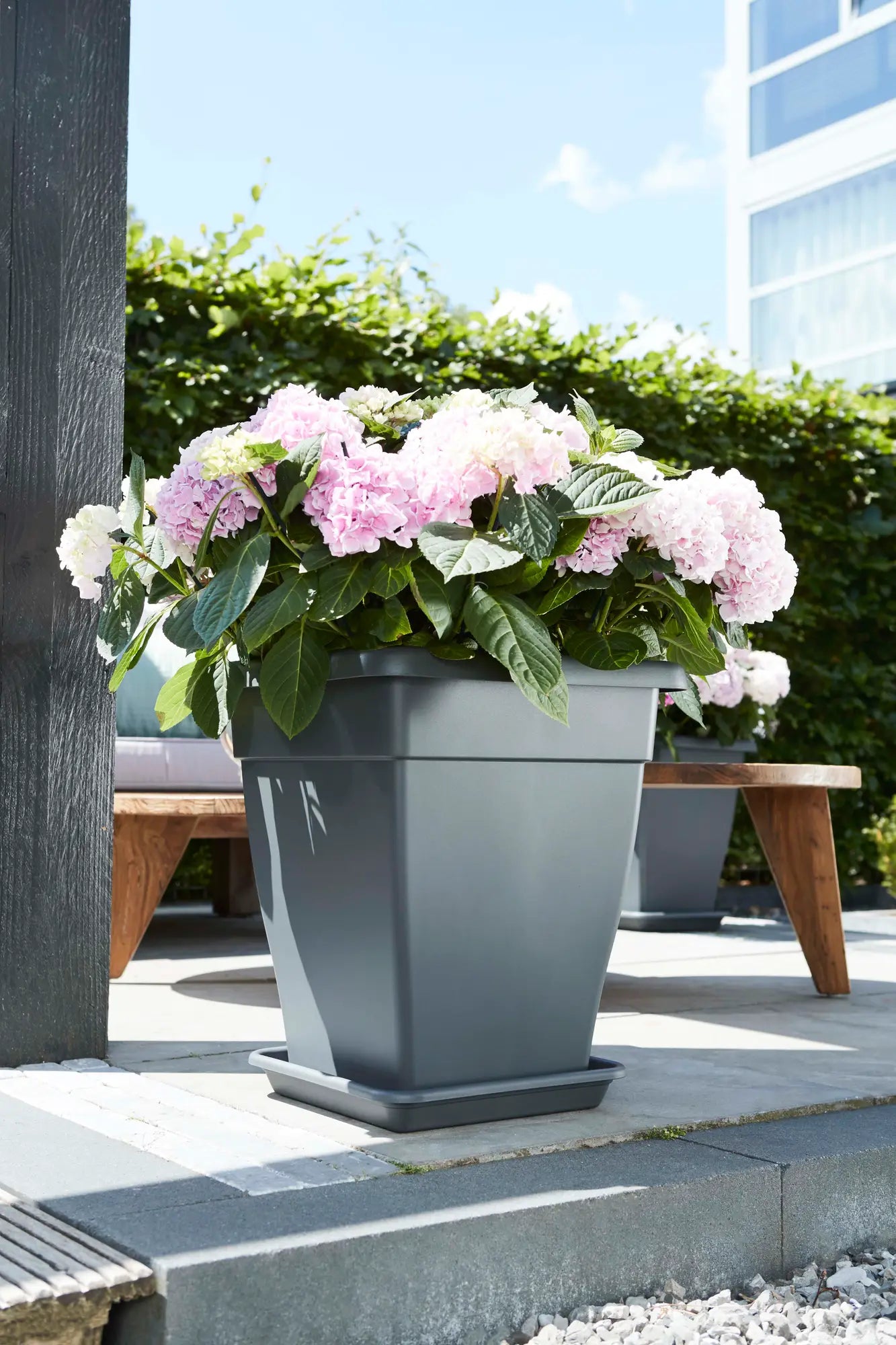 Elho - Schotel vierkant Antraciet | 35