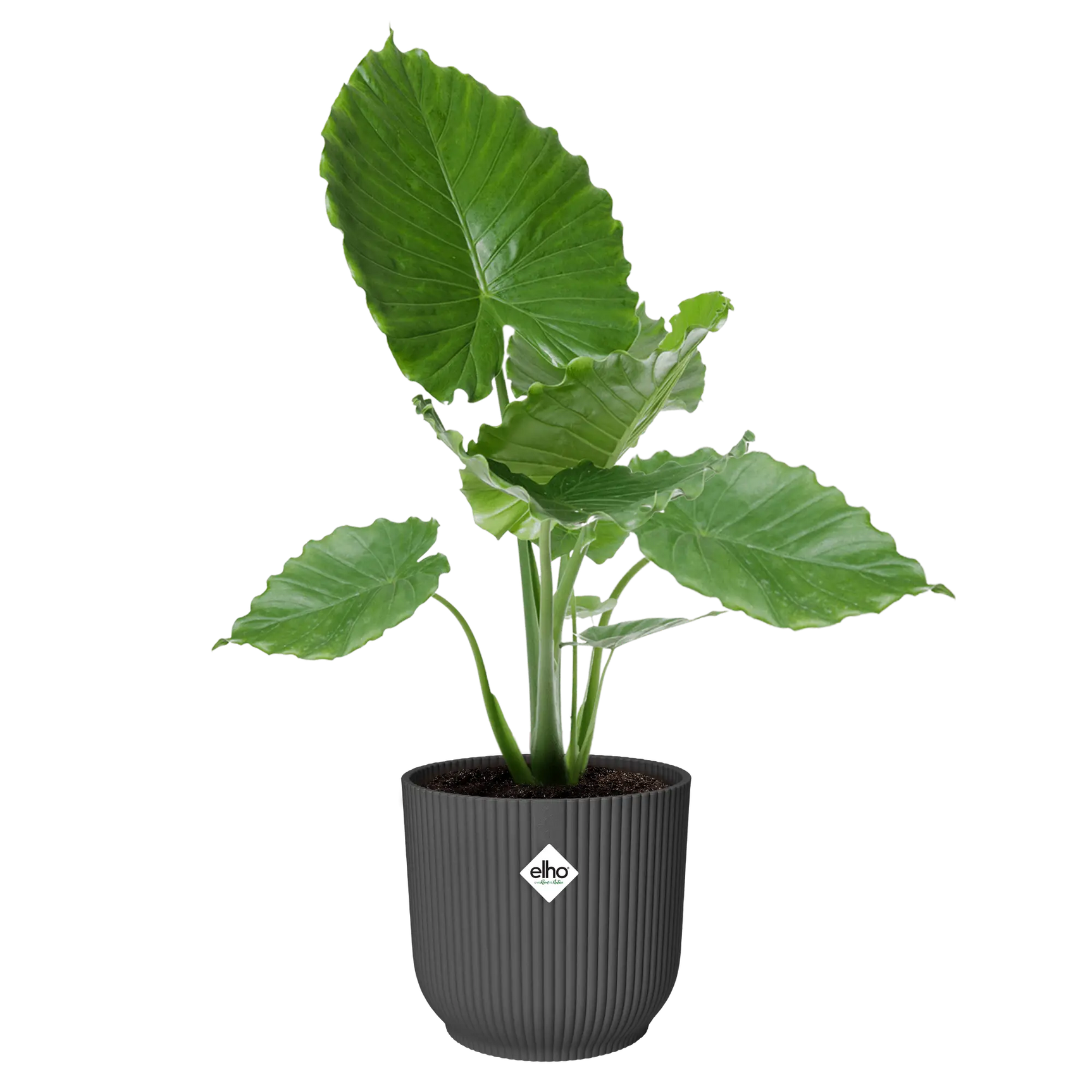 Elho - vibes fold rond 30cm antraciet