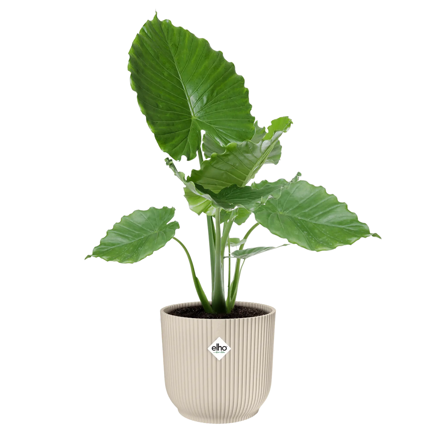 Elho - vibes fold rond 35cm linnen wit