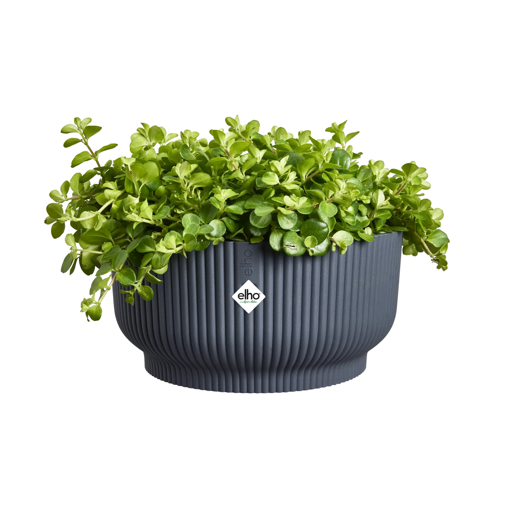 Elho - vibes fold bowl 25cm antraciet