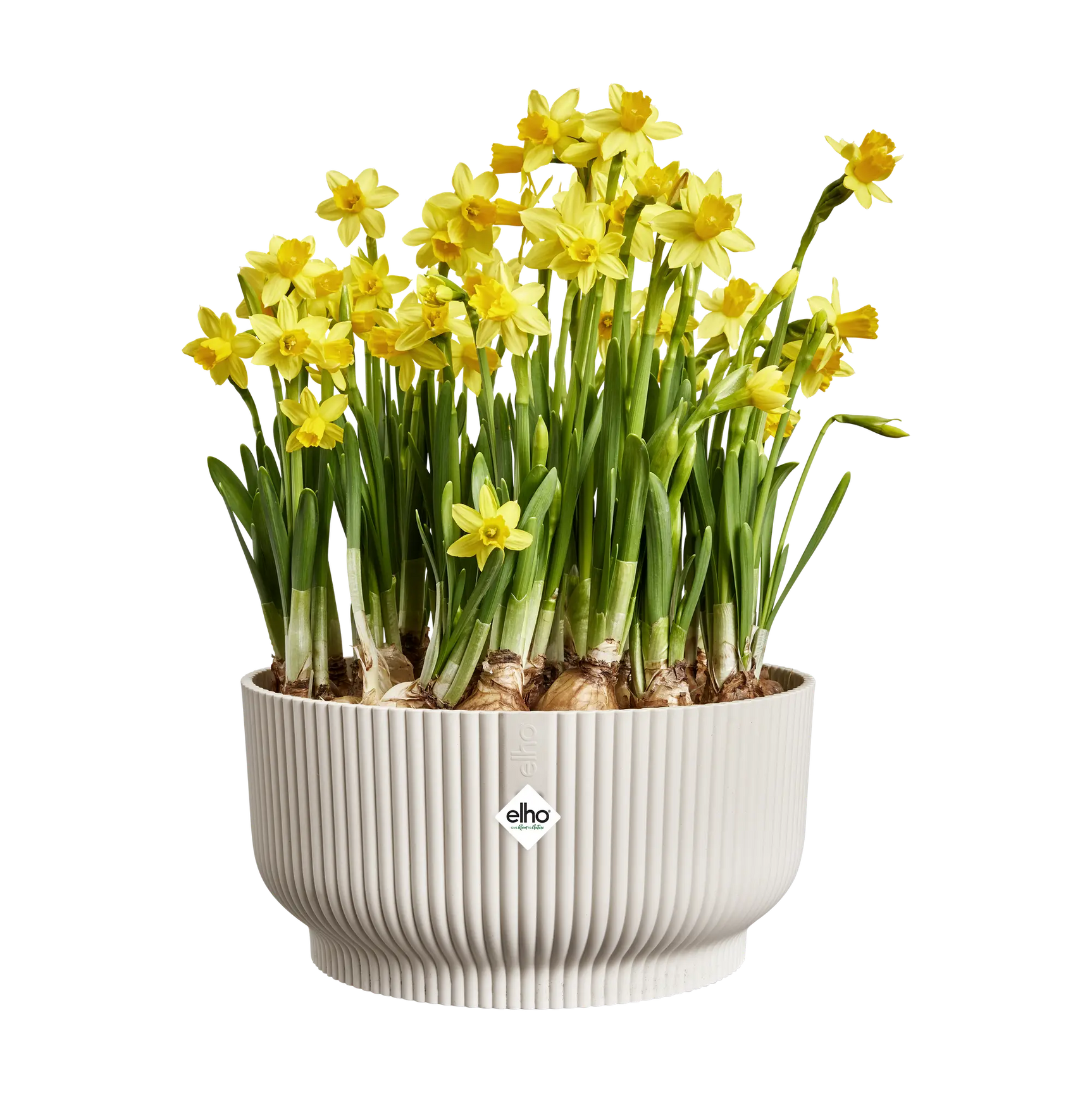 Elho - vibes fold bowl 25cm linnen wit