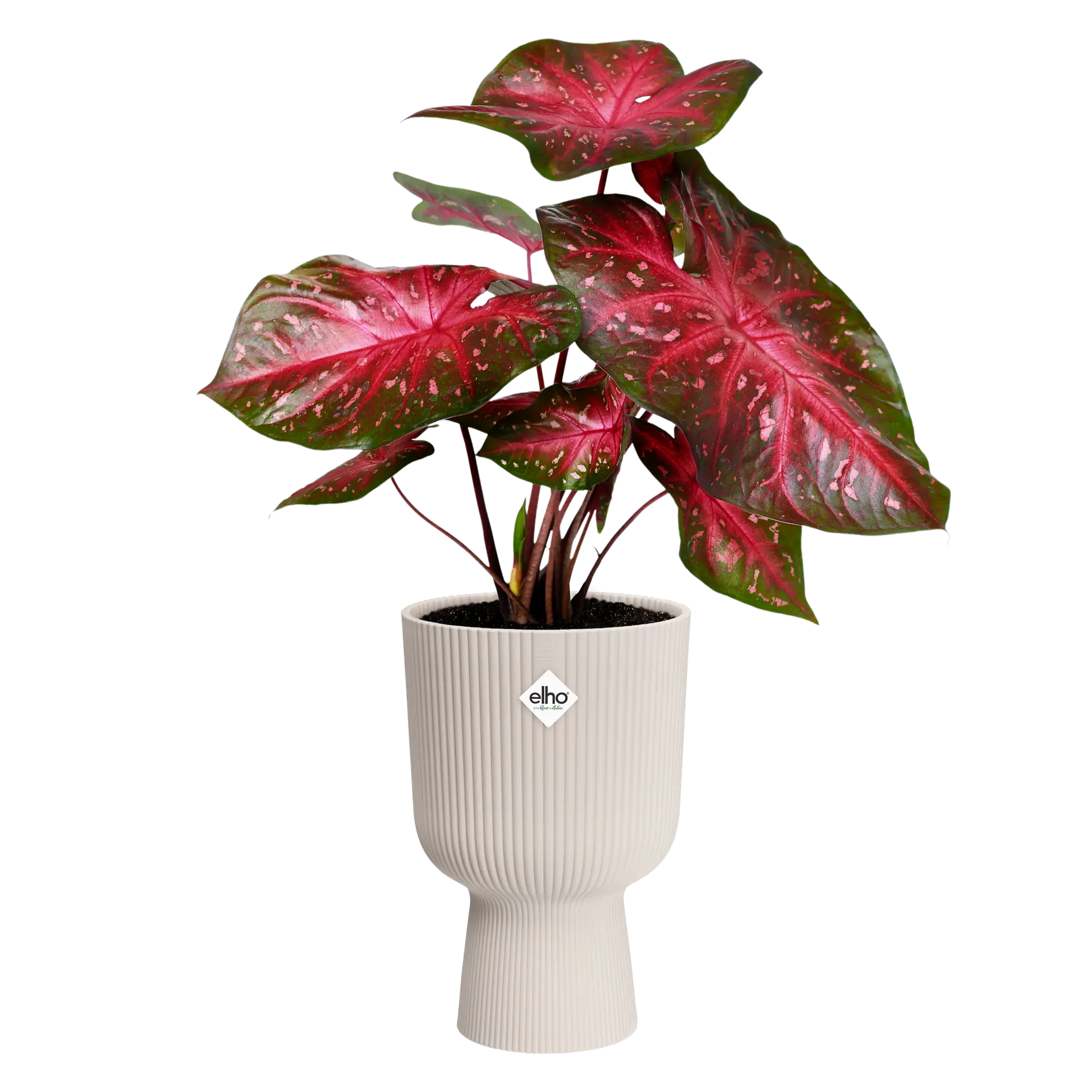 Elho - vibes fold coupe 30 linnen wit