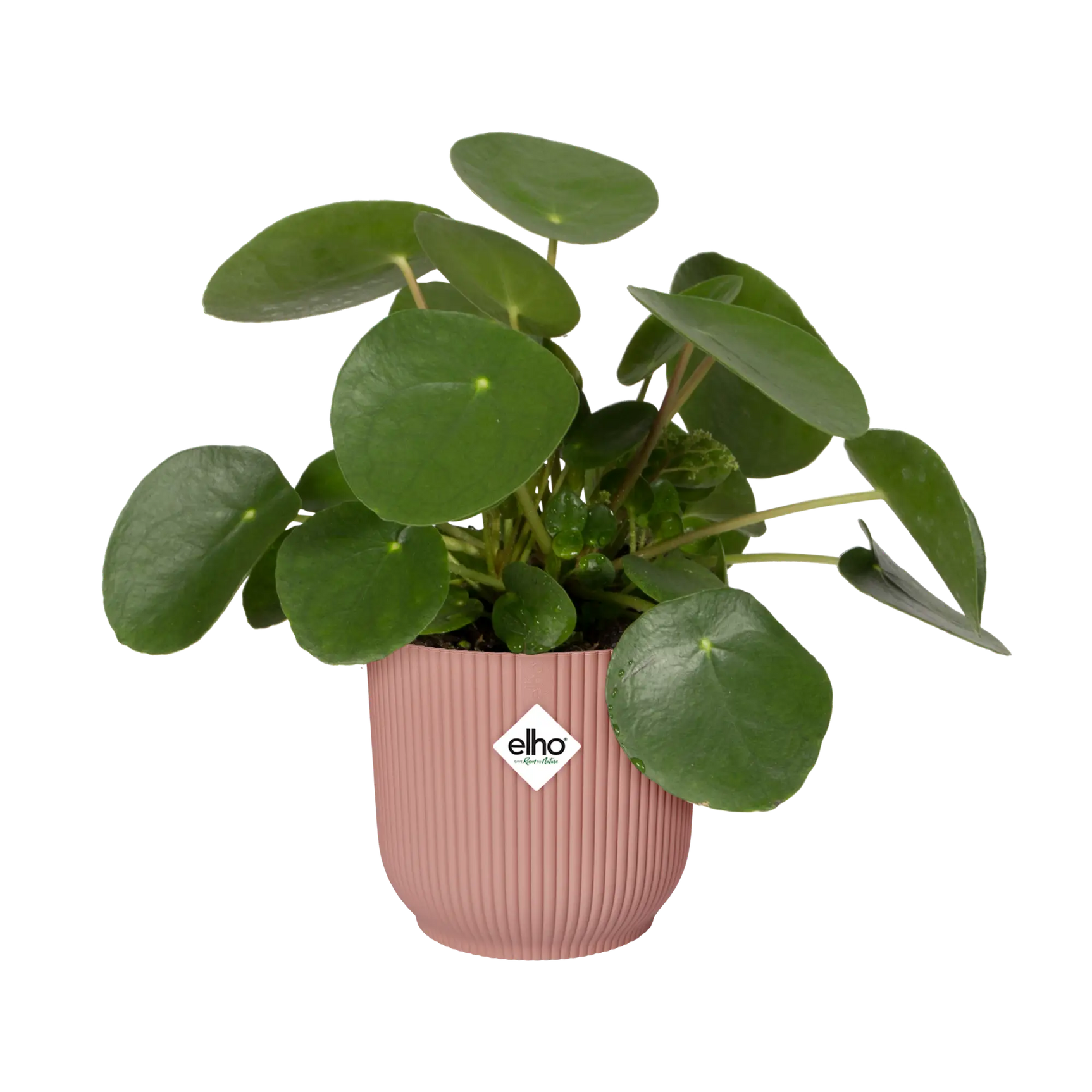 Elho - vibes fold rond 35cm delicaat roze