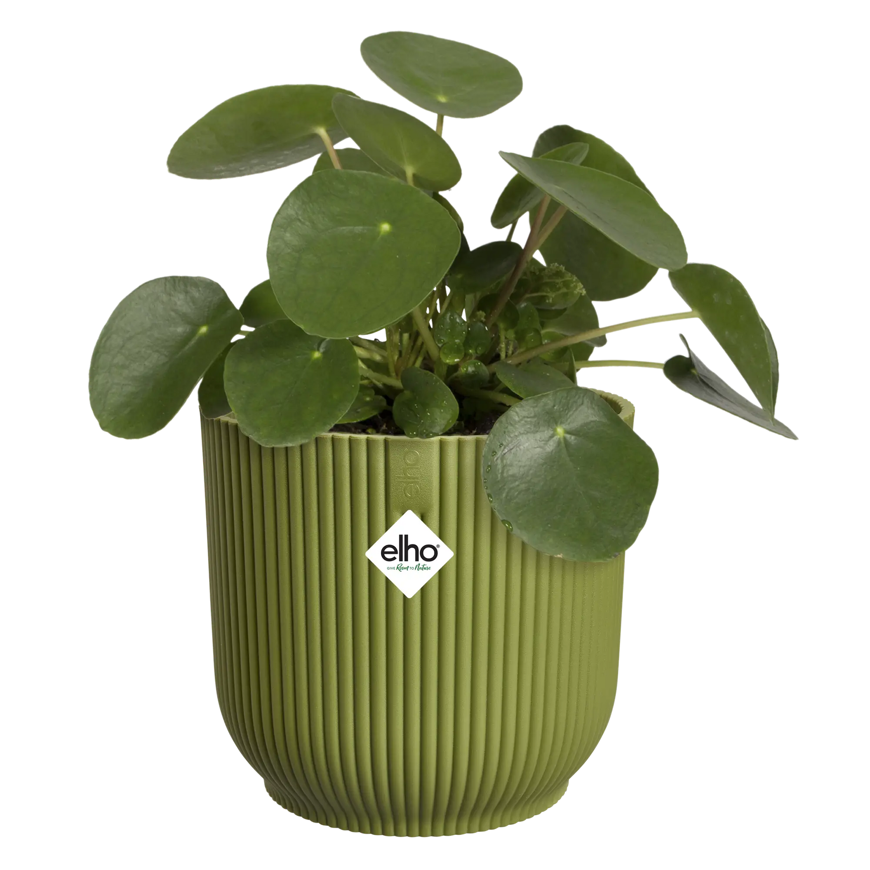 Groene ronde bloempot met geribbelde vouwstructuur, met kleine groene bladeren erin