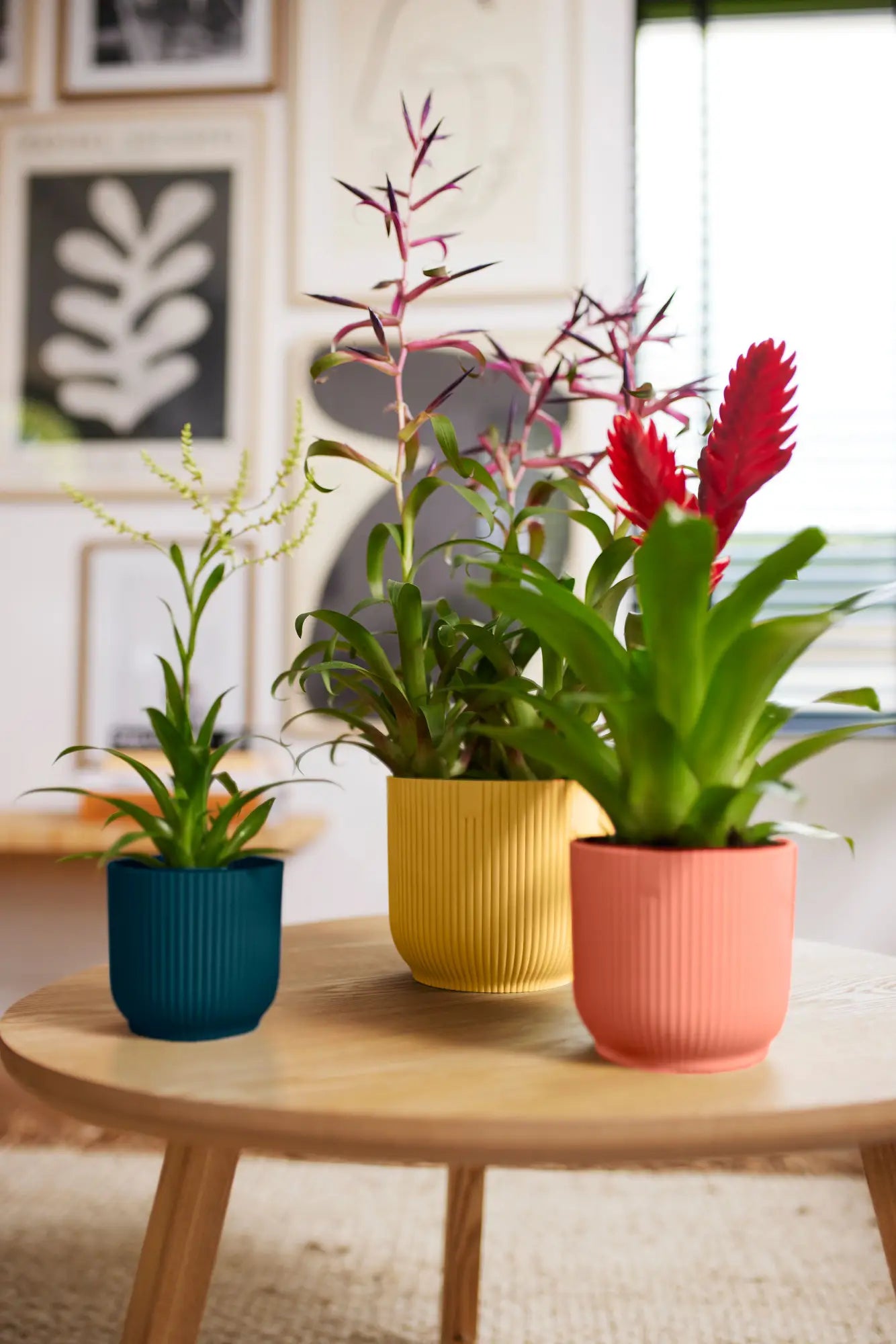 Elho - vibes fold rond 14cm delicate pink