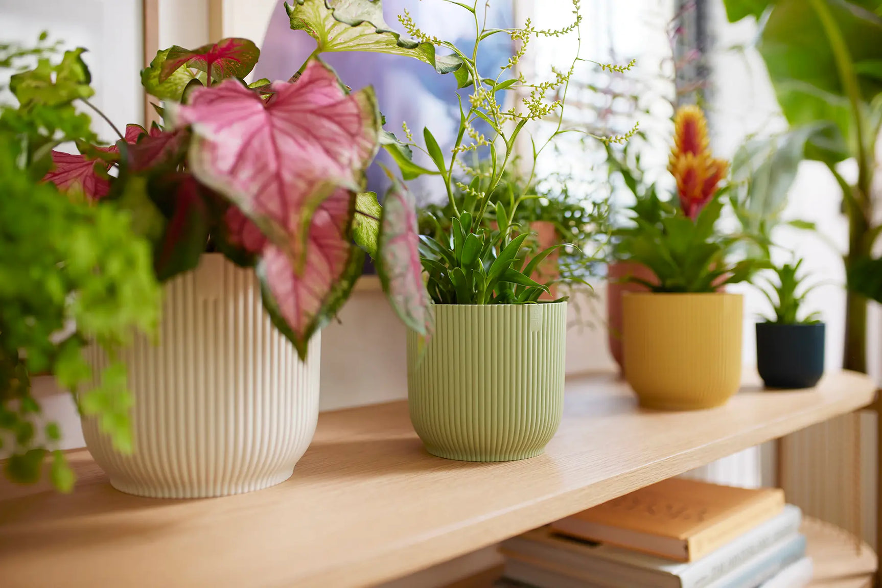 Elho - vibes fold rond mini 11cm sorbet green