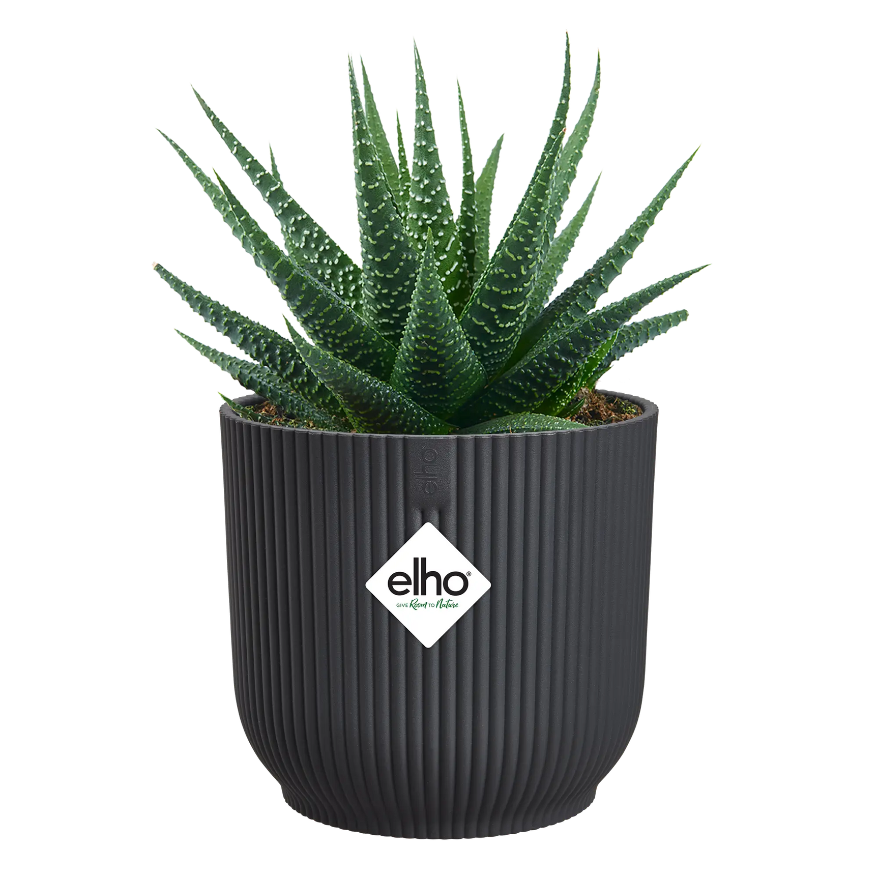 Elho - vibes fold rond mini 9cm antraciet