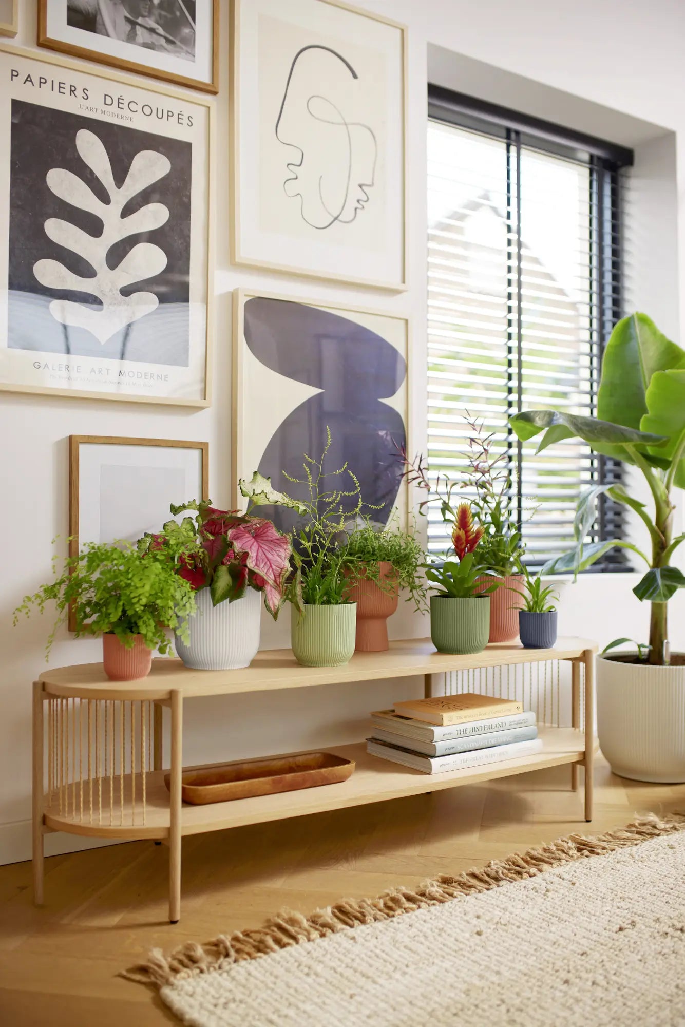 Elho - vibes fold rond mini 11cm antraciet