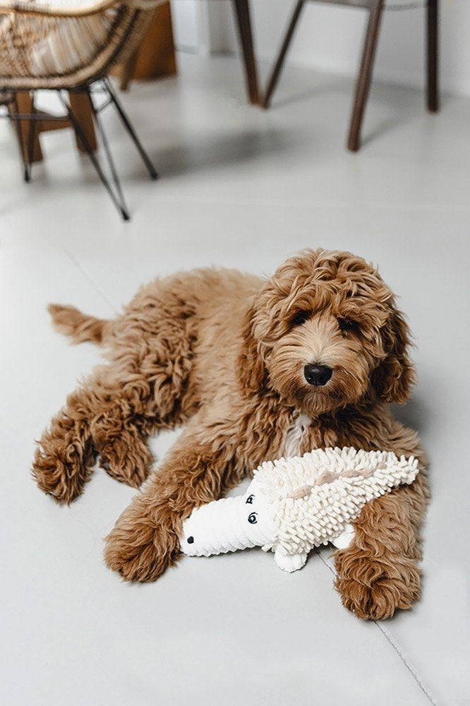 Beeztees - Eco Fl Krokodil Jort Bge 32cm