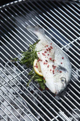 Barbecook - Loewy 45 houtskoolbarbecue uit email zwart Ø 43cm H 97cm