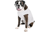 Grijze beschermende recovery-vest voor hond met opening bij borst en poten